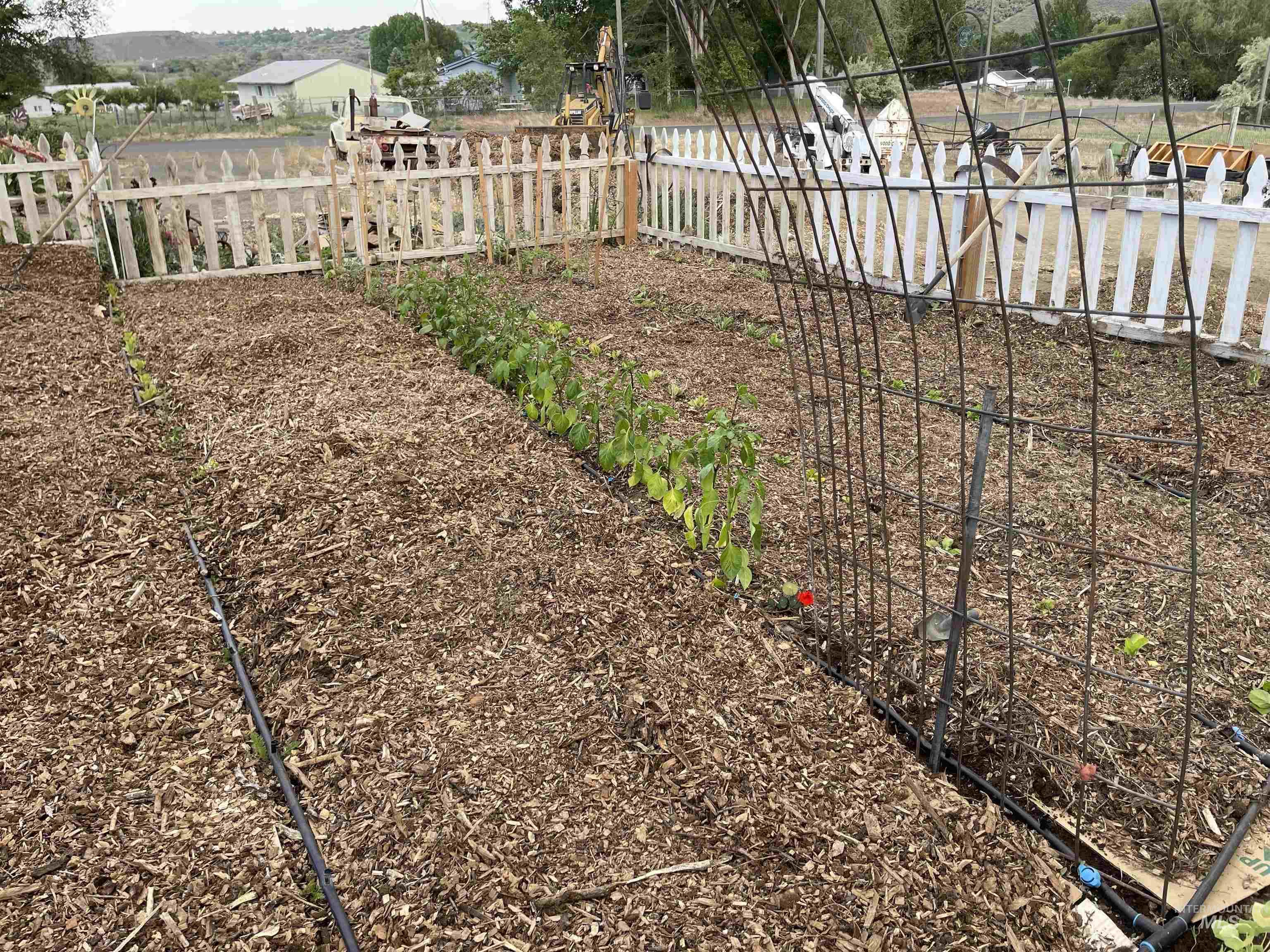 4343 N 1200 E, Buhl, Idaho 83316, Land For Sale, Price $330,000,MLS 98972705