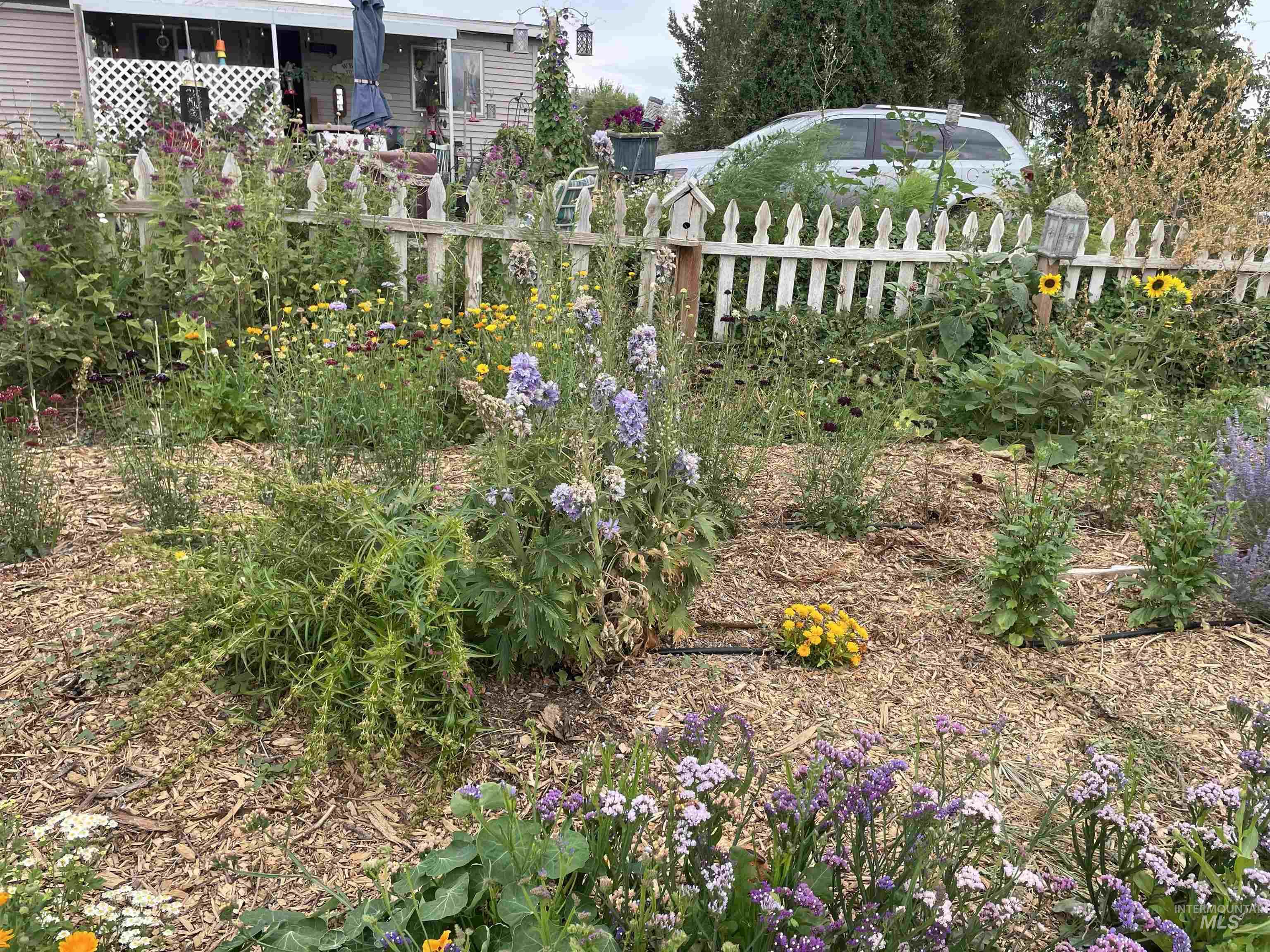 4343 N 1200 E, Buhl, Idaho 83316, Land For Sale, Price $330,000,MLS 98972705