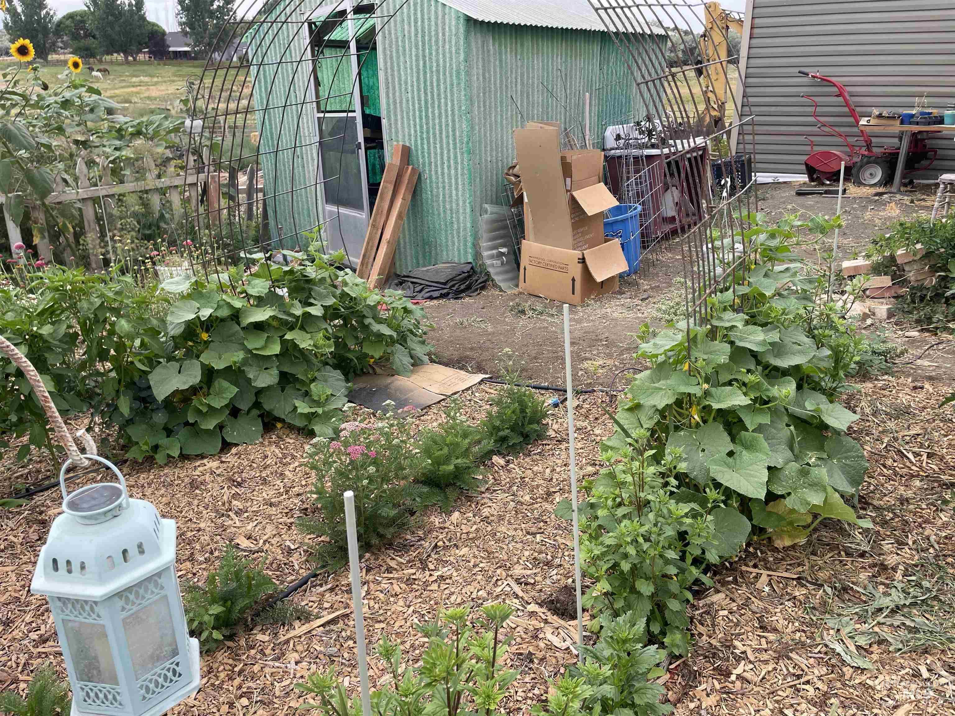 4343 N 1200 E, Buhl, Idaho 83316, Land For Sale, Price $330,000,MLS 98972705