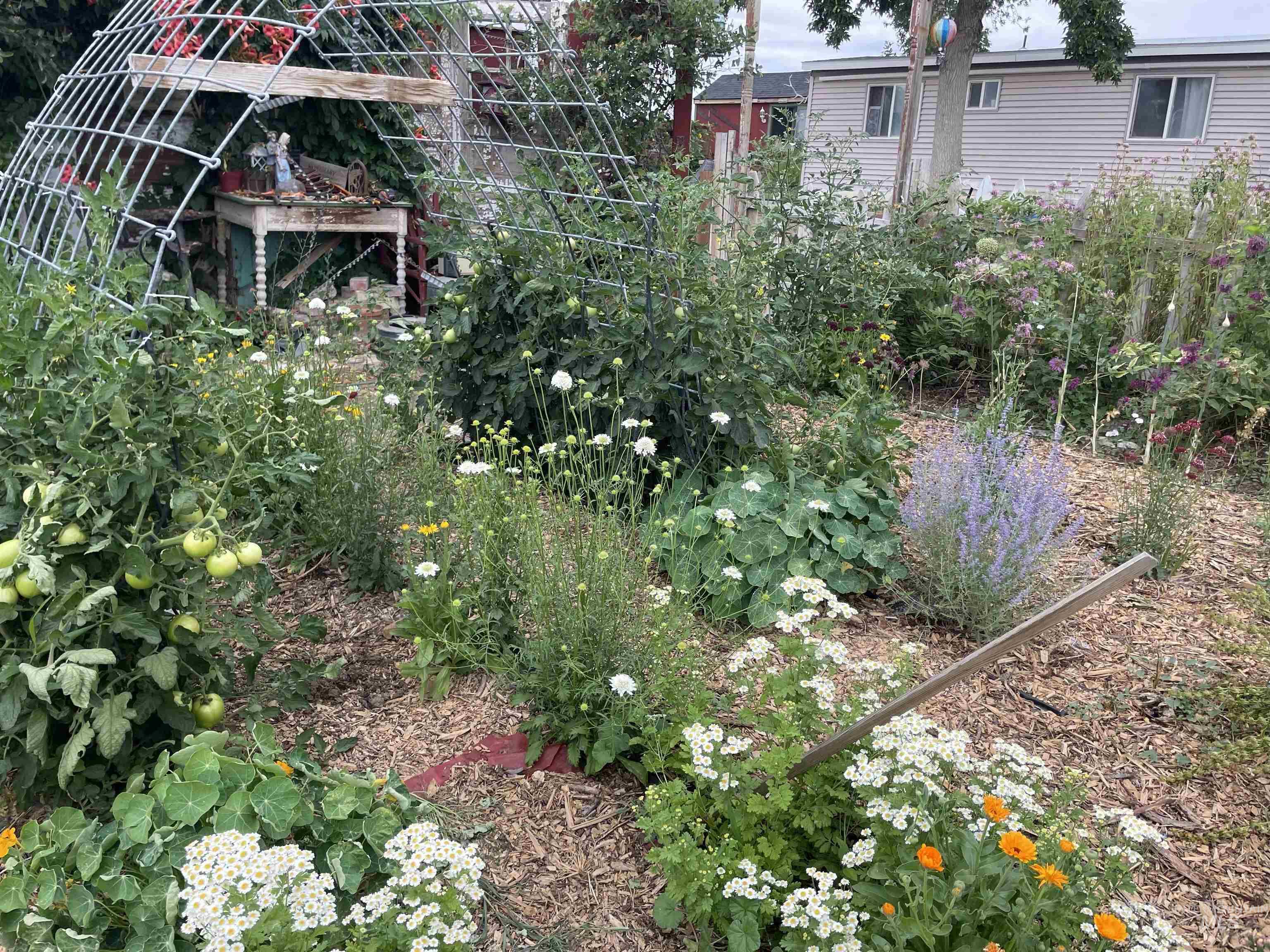 4343 N 1200 E, Buhl, Idaho 83316, 2 Bedrooms, 1 Bathroom, Residential For Sale, Price $330,000,MLS 98972706