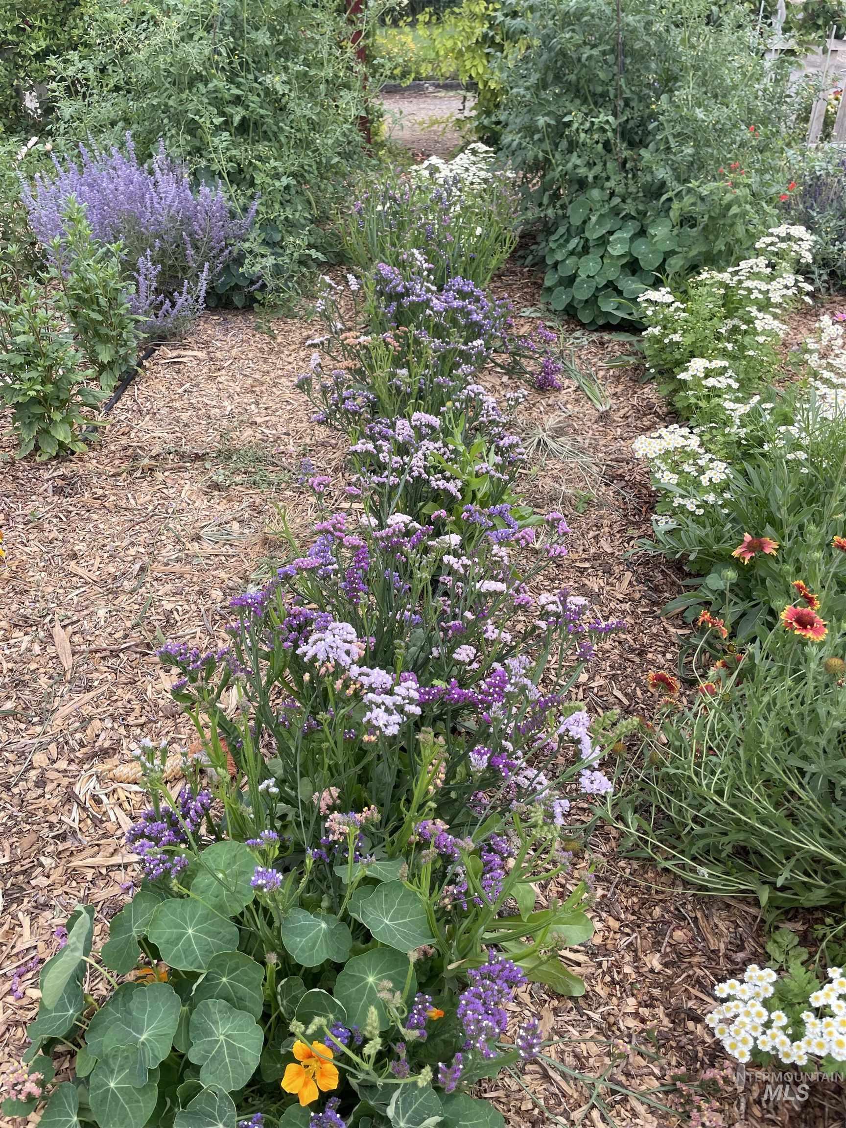 4343 N 1200 E, Buhl, Idaho 83316, 2 Bedrooms, 1 Bathroom, Residential For Sale, Price $330,000,MLS 98972706