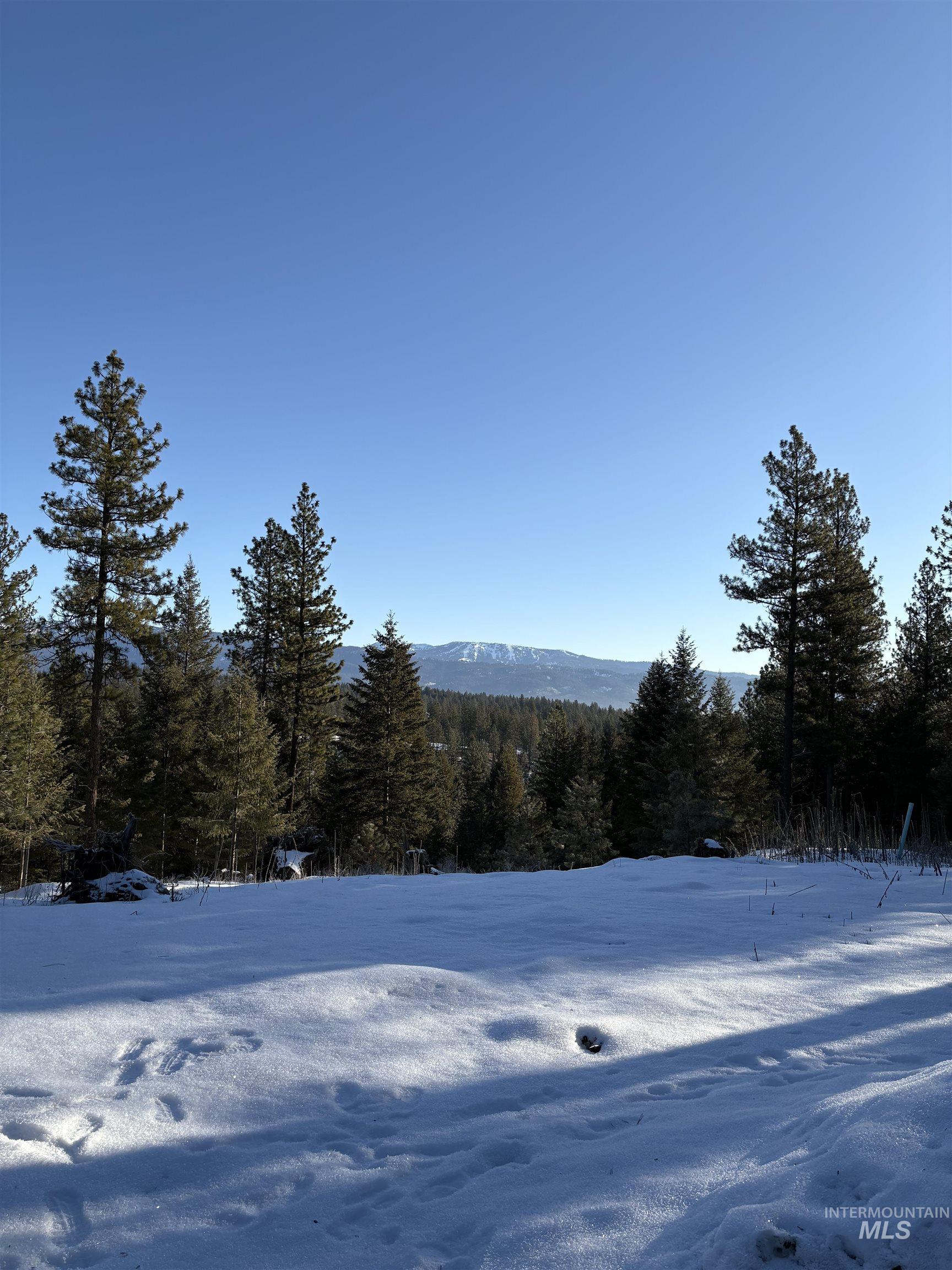 2805 Mountain View Ct, New Meadows, Idaho 83654, Land For Sale, Price $599,999,MLS 98972714