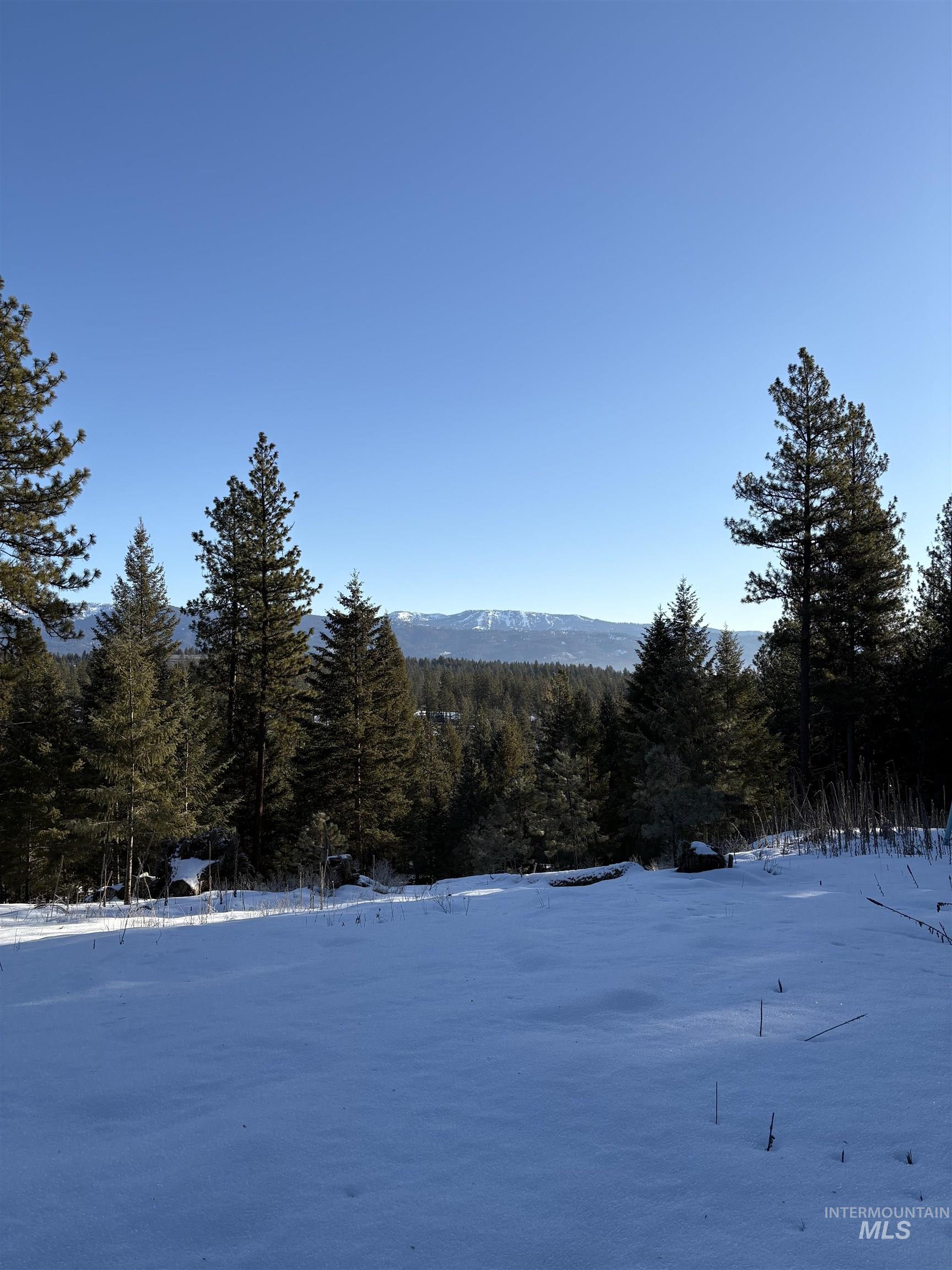 2805 Mountain View Ct, New Meadows, Idaho 83654, Land For Sale, Price $599,999,MLS 98972714