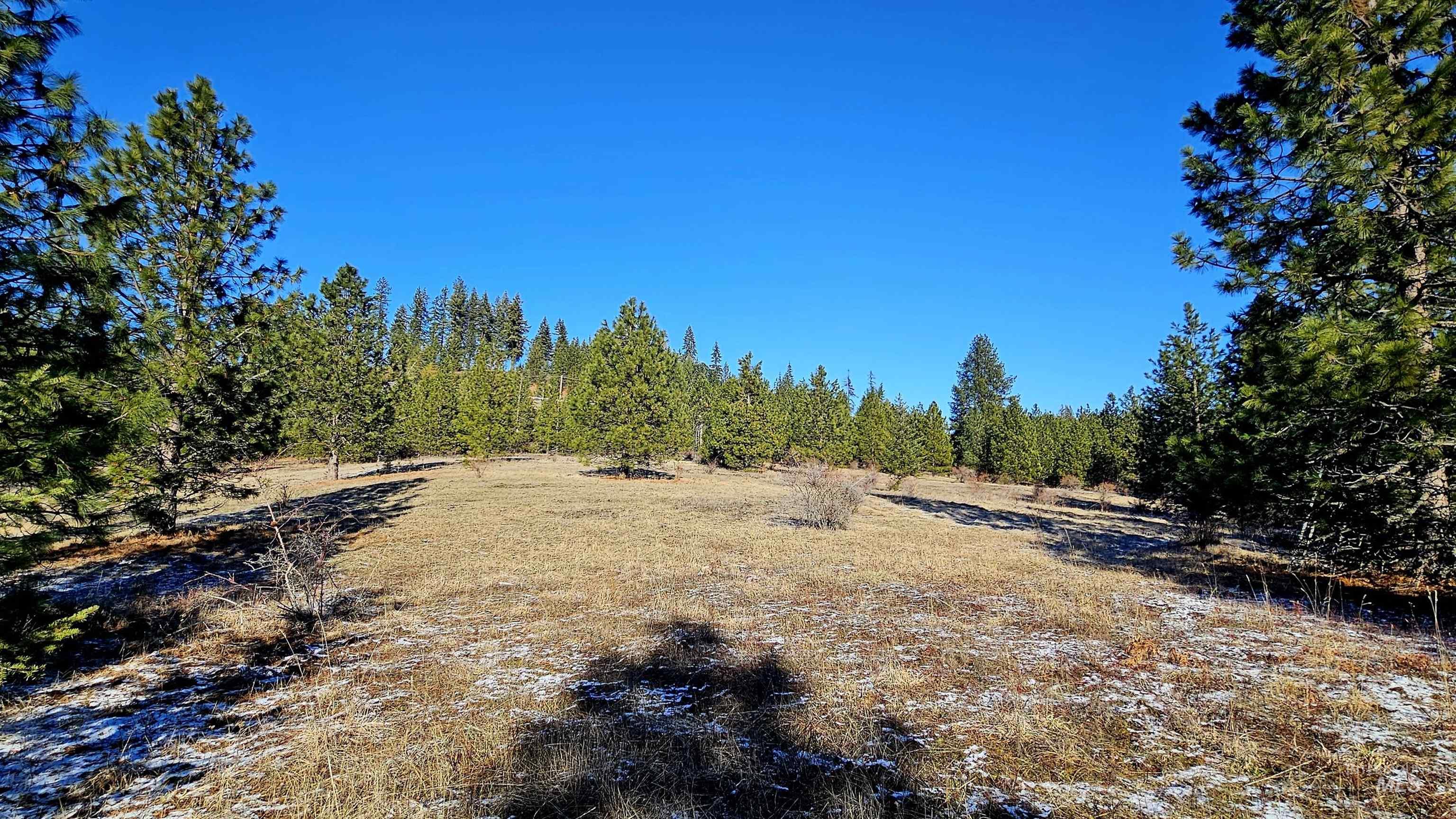 0 See Hawk Ln, Lenore, Idaho 83541, Land For Sale, Price $325,000,MLS 98972794