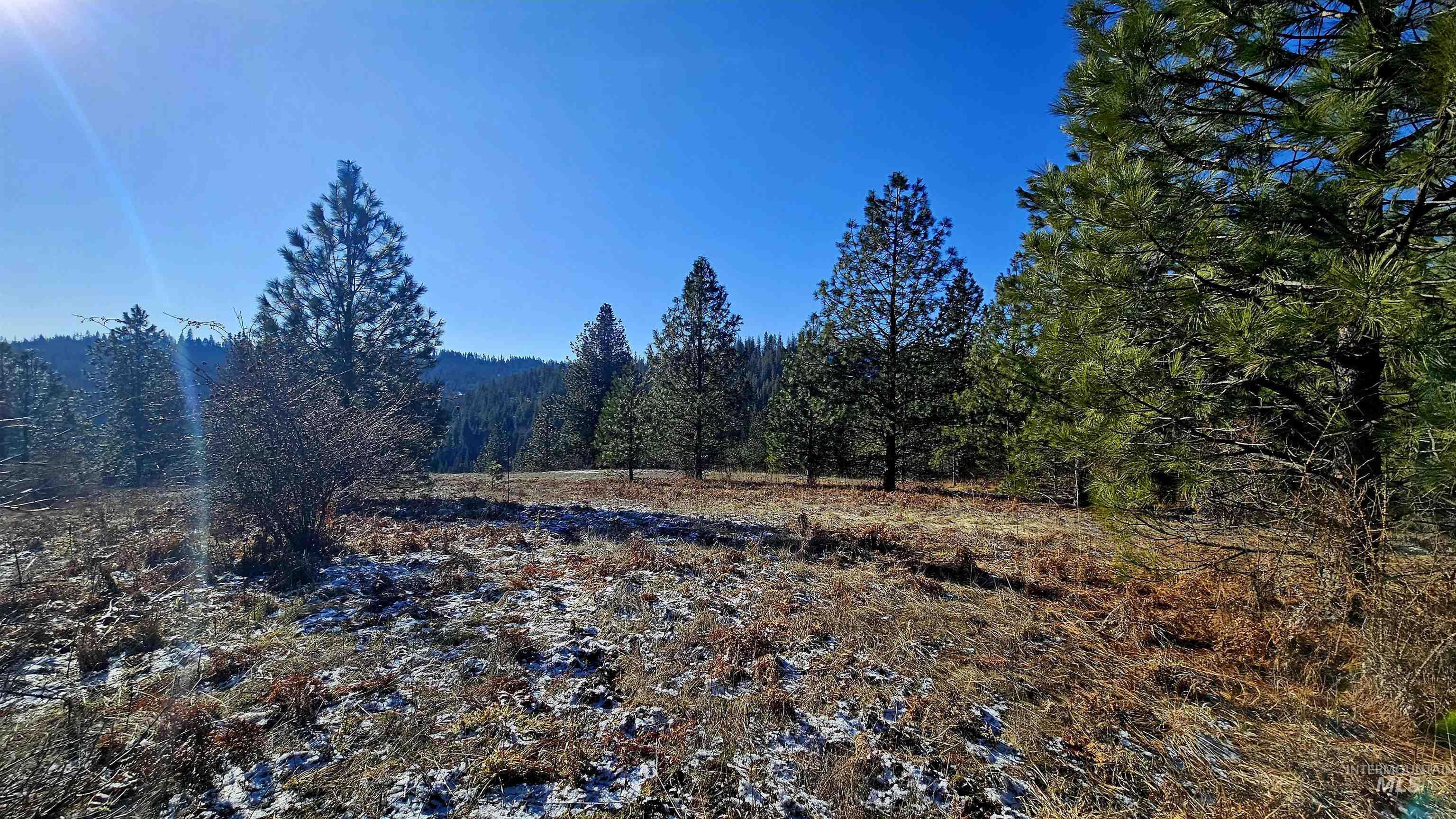 0 See Hawk Ln, Lenore, Idaho 83541, Land For Sale, Price $325,000,MLS 98972794