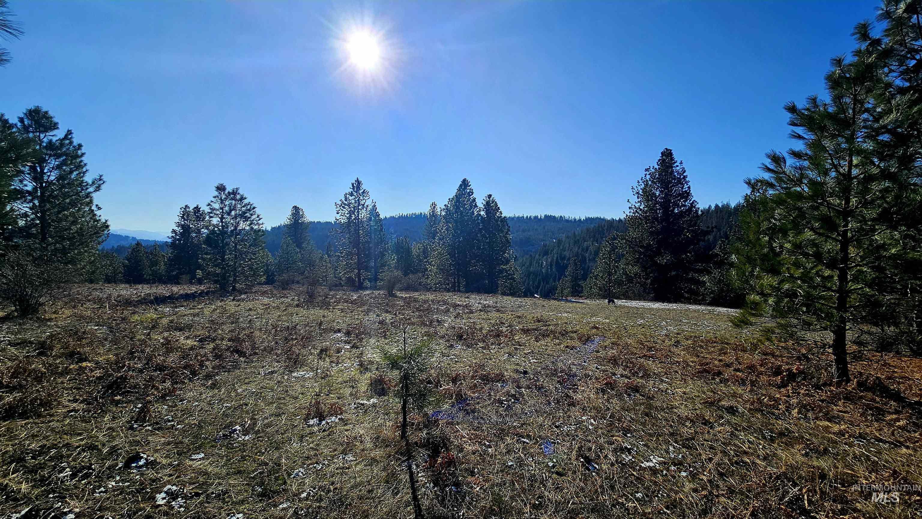 0 See Hawk Ln, Lenore, Idaho 83541, Land For Sale, Price $325,000,MLS 98972794