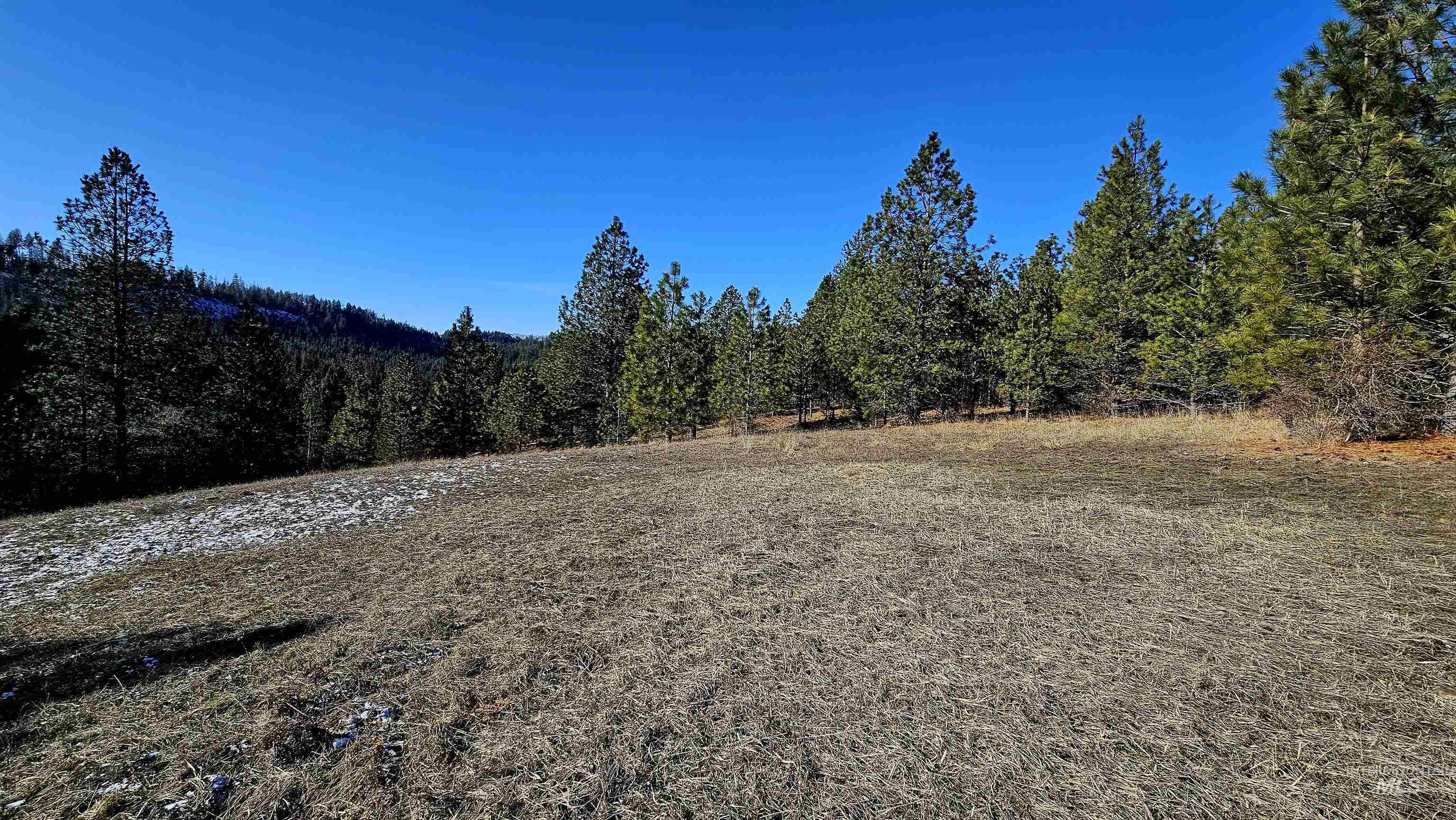 0 See Hawk Ln, Lenore, Idaho 83541, Land For Sale, Price $325,000,MLS 98972794