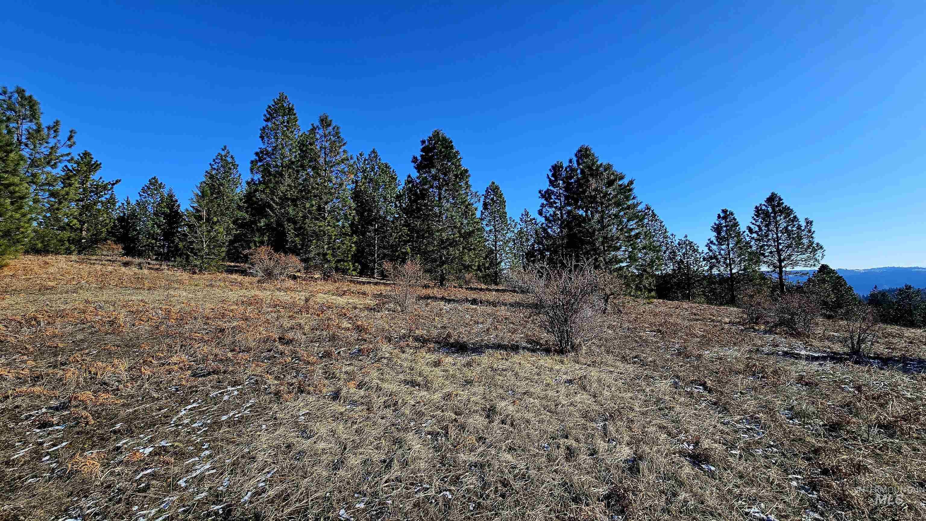 0 See Hawk Ln, Lenore, Idaho 83541, Land For Sale, Price $325,000,MLS 98972794