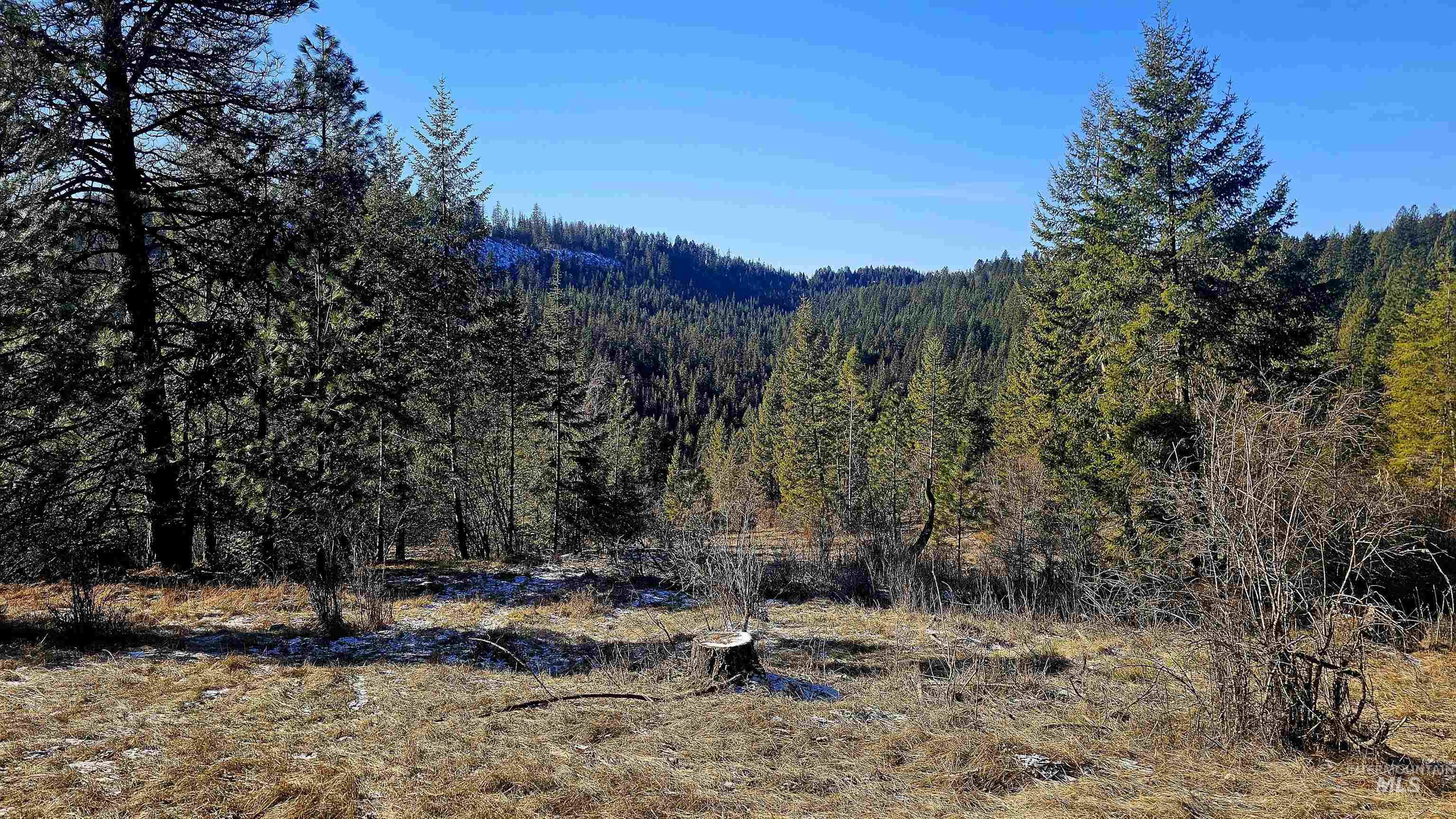 0 See Hawk Ln, Lenore, Idaho 83541, Land For Sale, Price $325,000,MLS 98972794