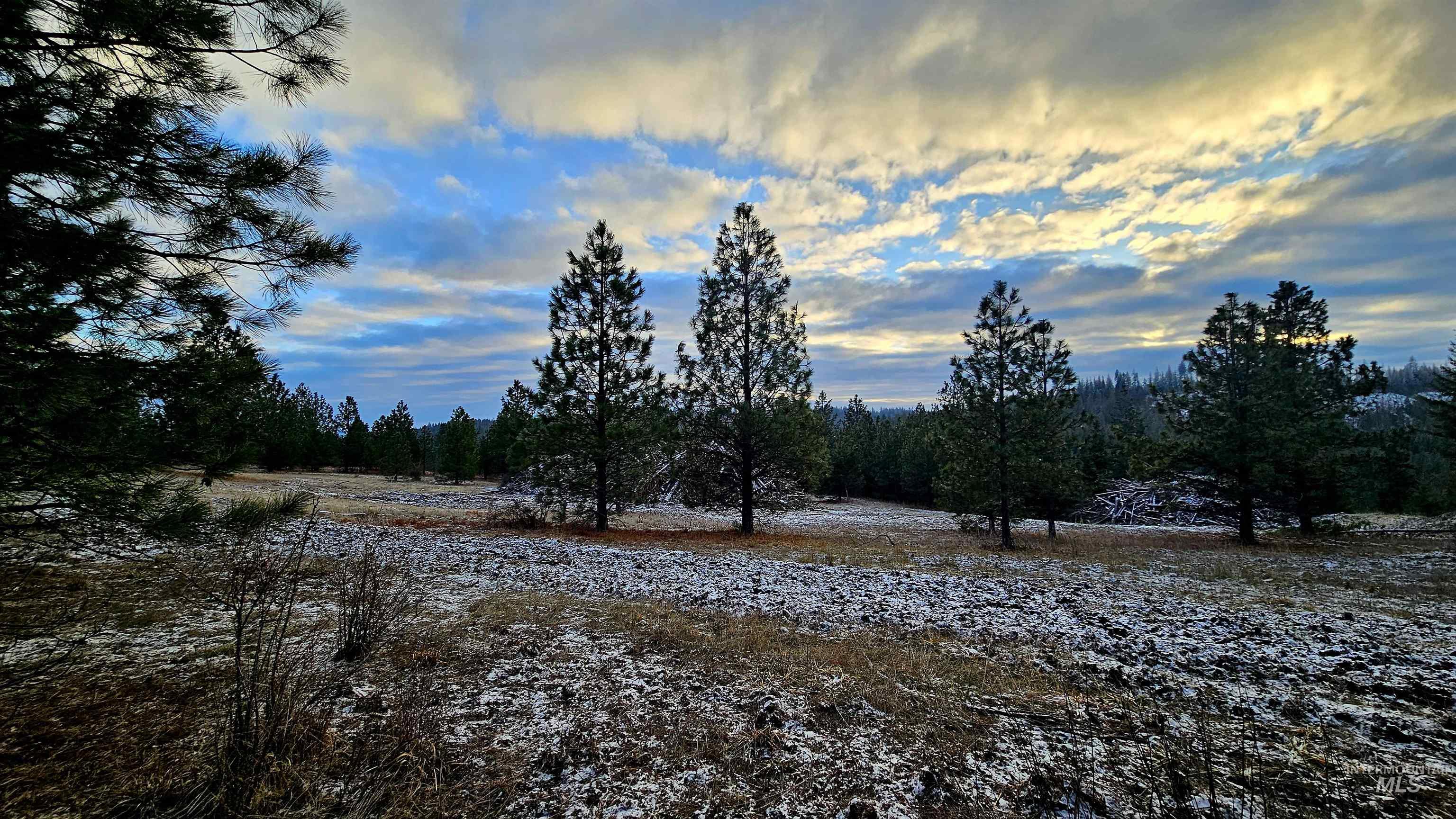 0 See Hawk Ln, Lenore, Idaho 83541, Land For Sale, Price $325,000,MLS 98972794