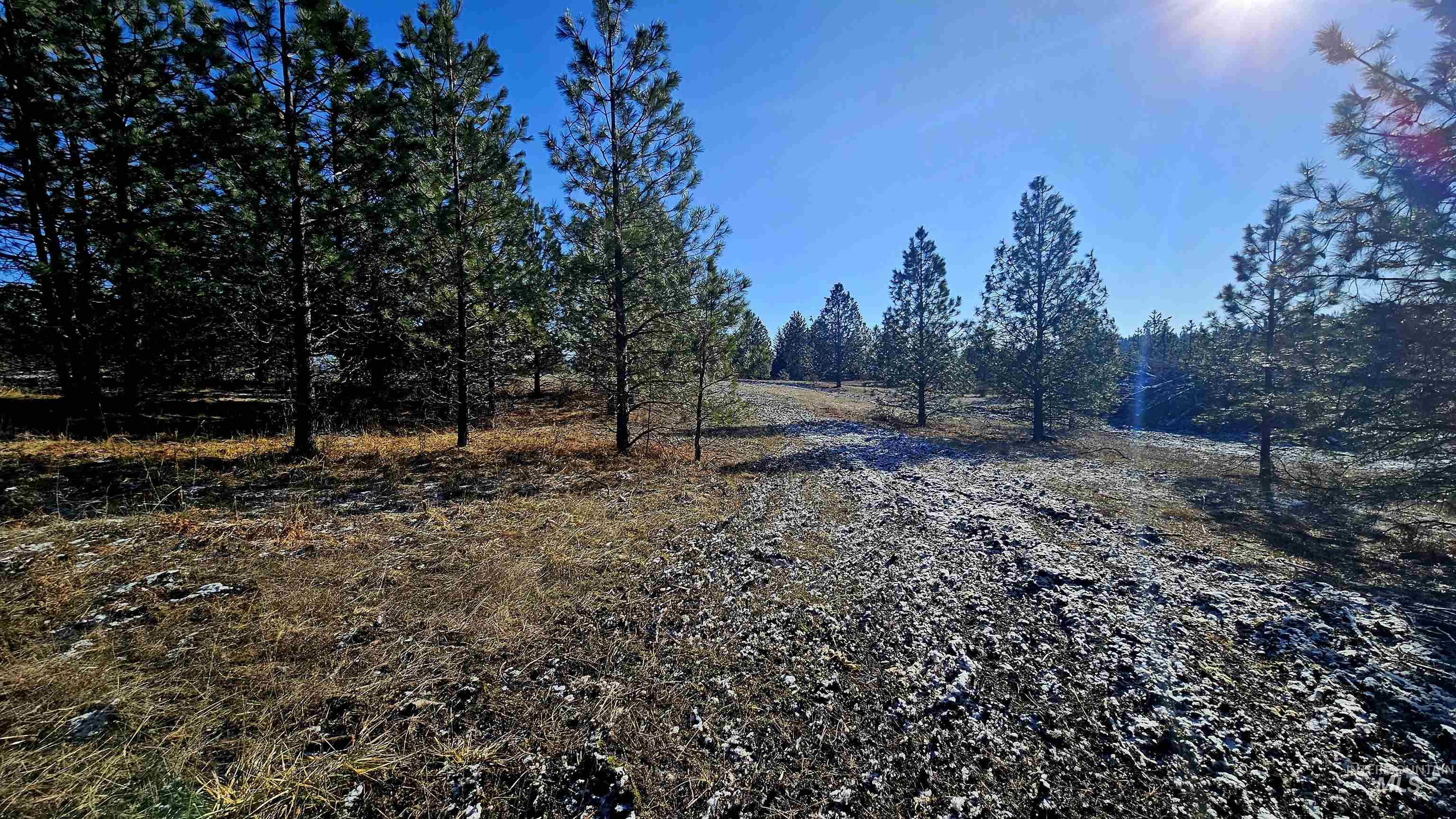 0 See Hawk Ln, Lenore, Idaho 83541, Land For Sale, Price $325,000,MLS 98972794
