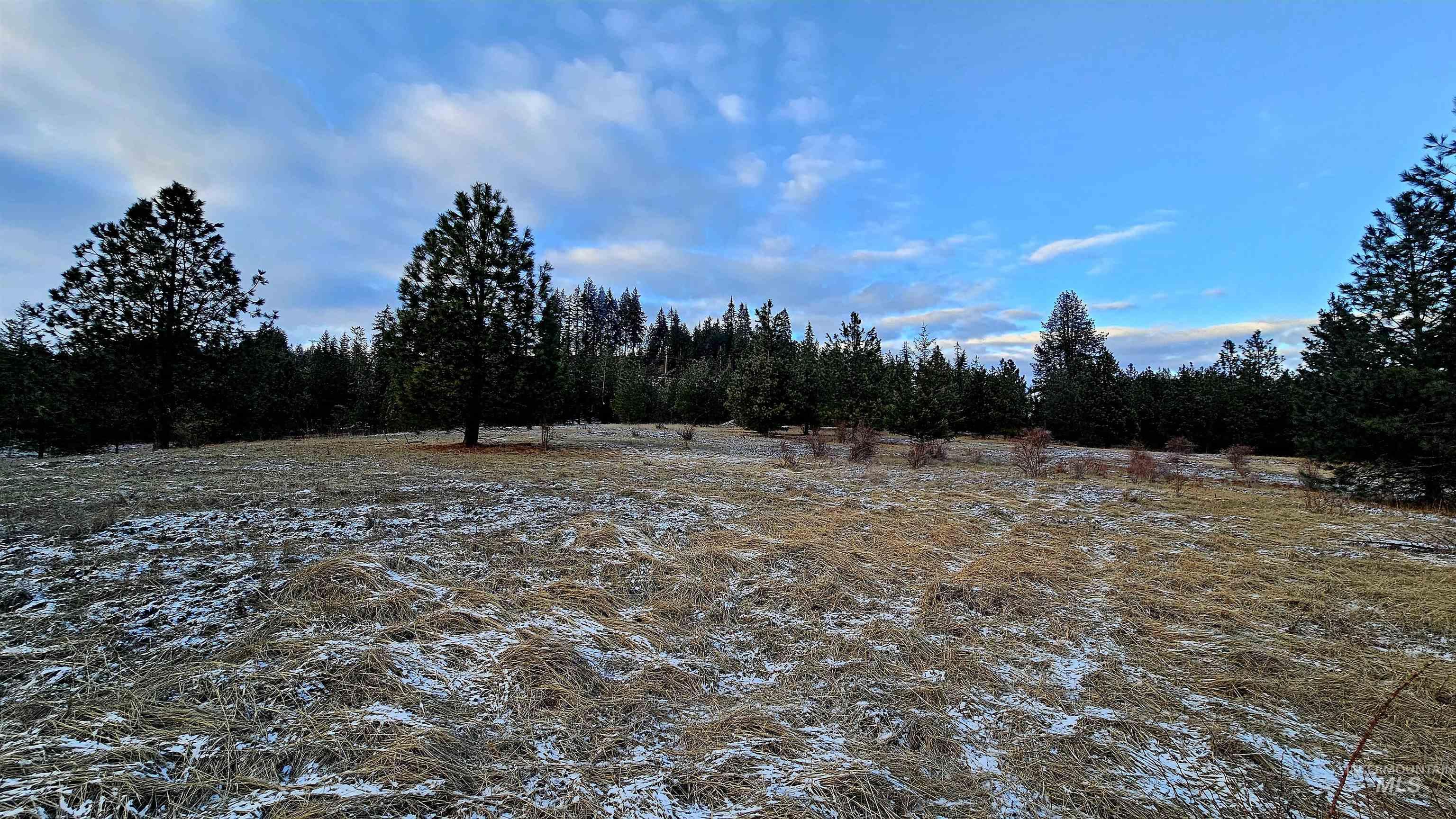 0 See Hawk Ln, Lenore, Idaho 83541, Land For Sale, Price $325,000,MLS 98972794