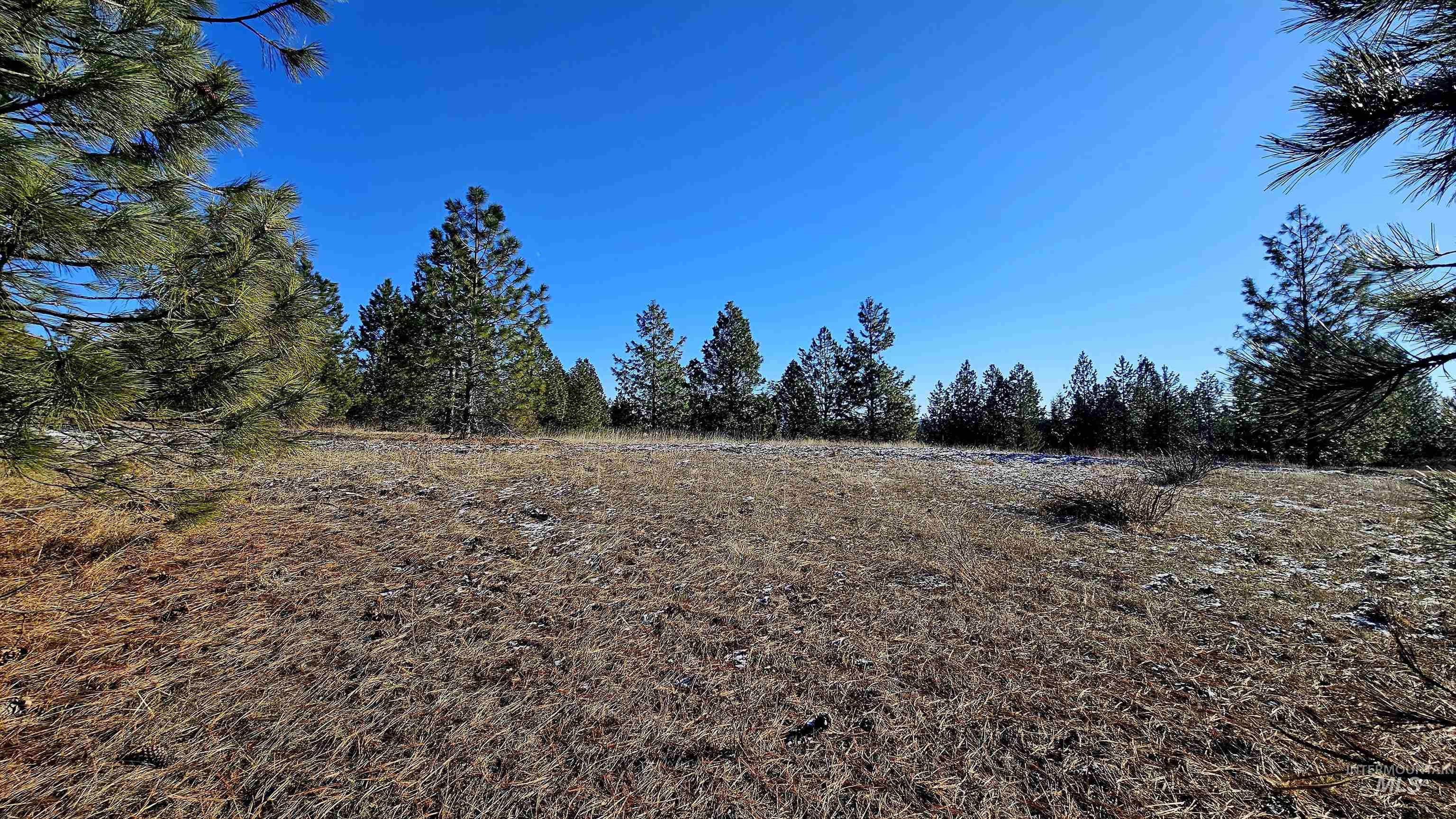 0 See Hawk Ln, Lenore, Idaho 83541, Land For Sale, Price $325,000,MLS 98972794