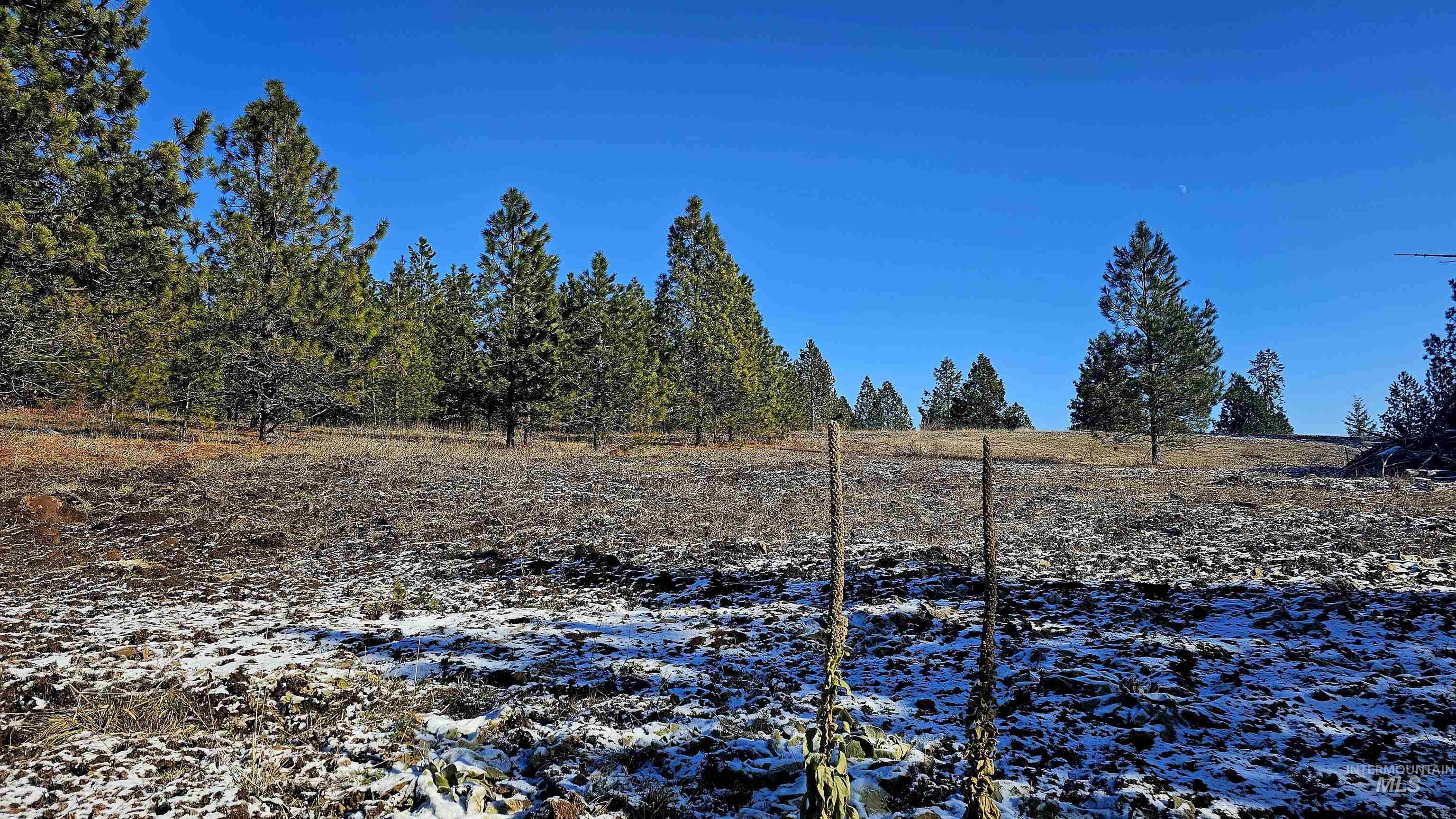 0 See Hawk Ln, Lenore, Idaho 83541, Land For Sale, Price $325,000,MLS 98972794