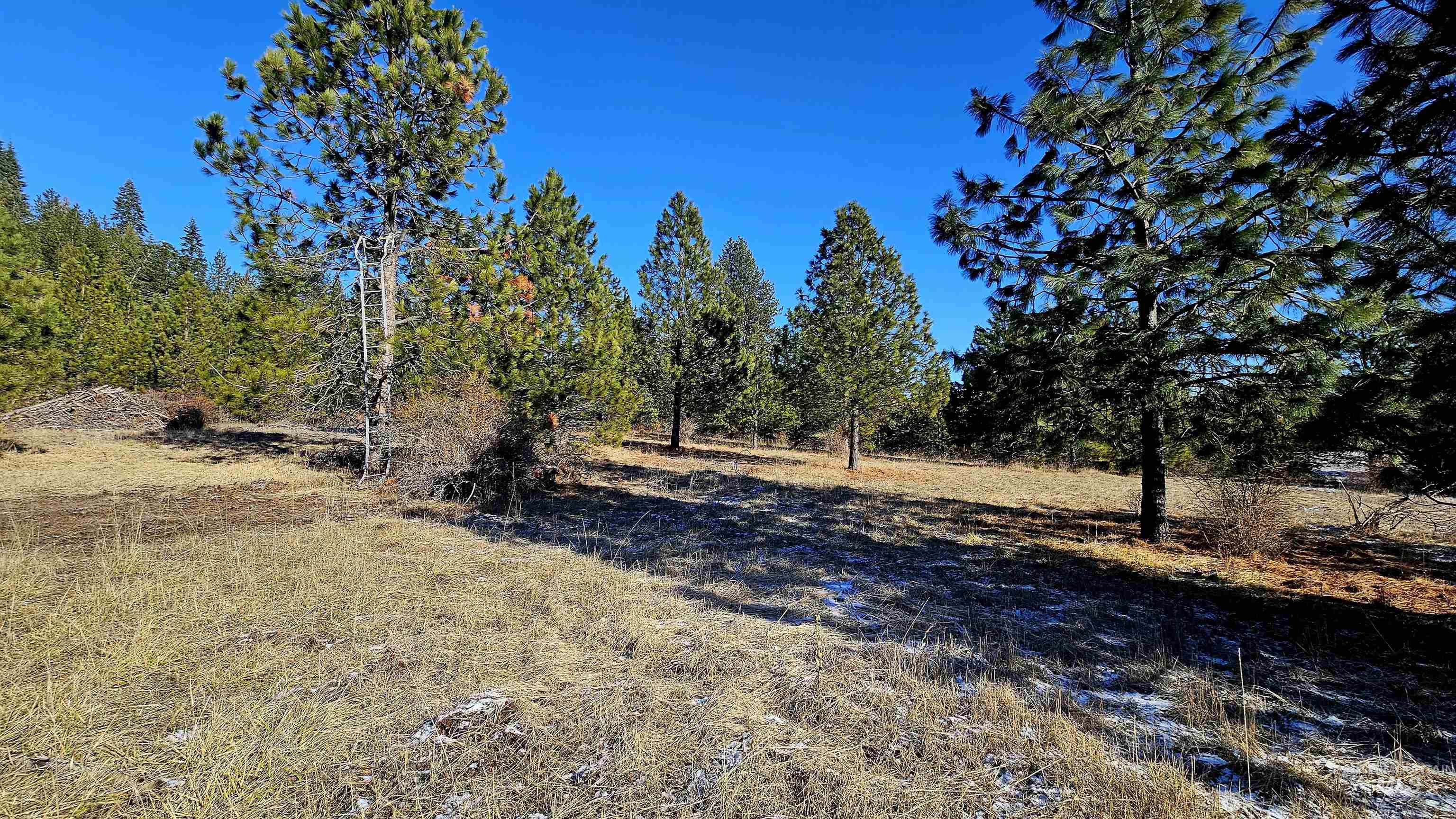 0 See Hawk Ln, Lenore, Idaho 83541, Land For Sale, Price $325,000,MLS 98972794