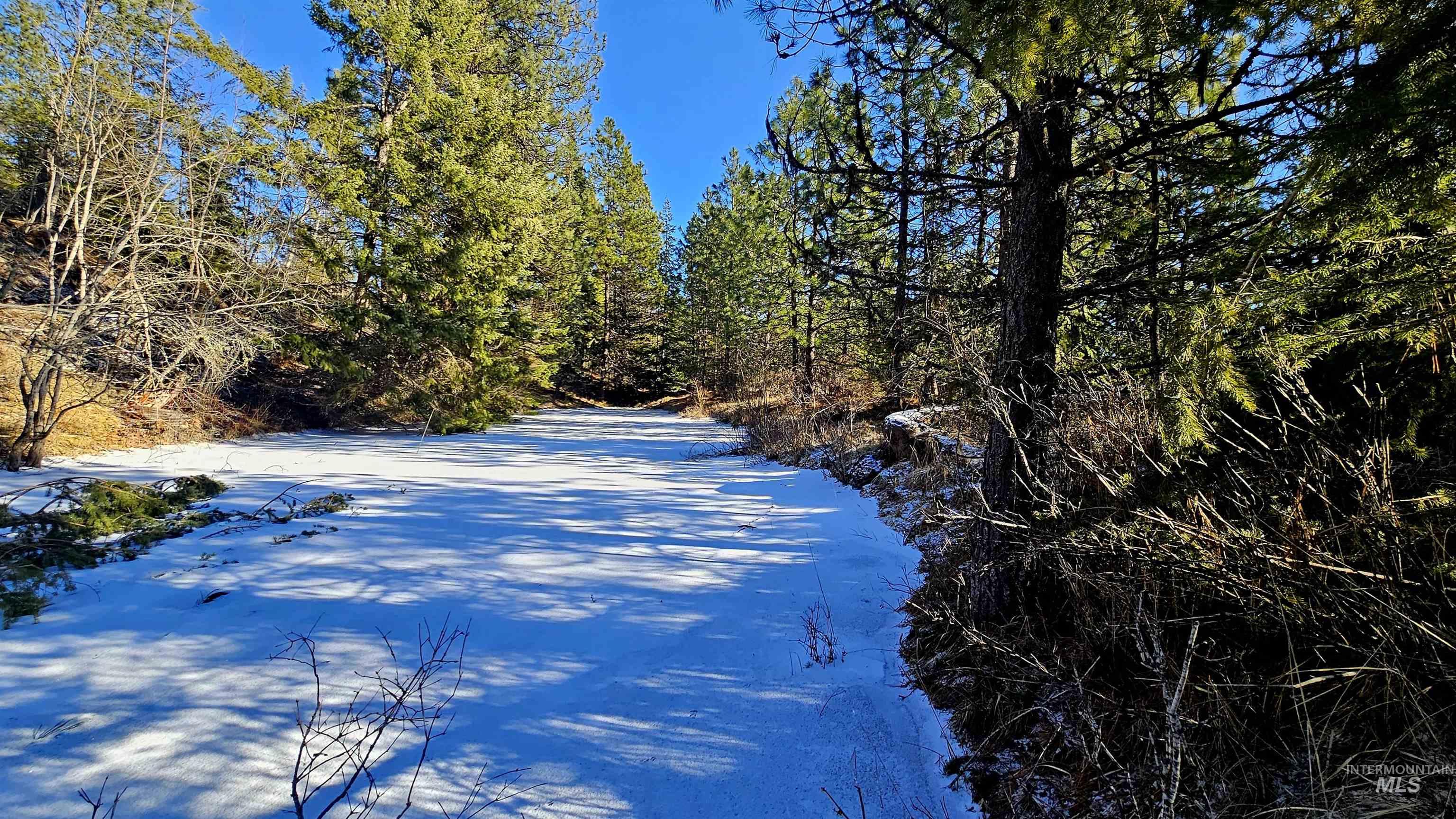 0 See Hawk Ln, Lenore, Idaho 83541, Land For Sale, Price $325,000,MLS 98972794