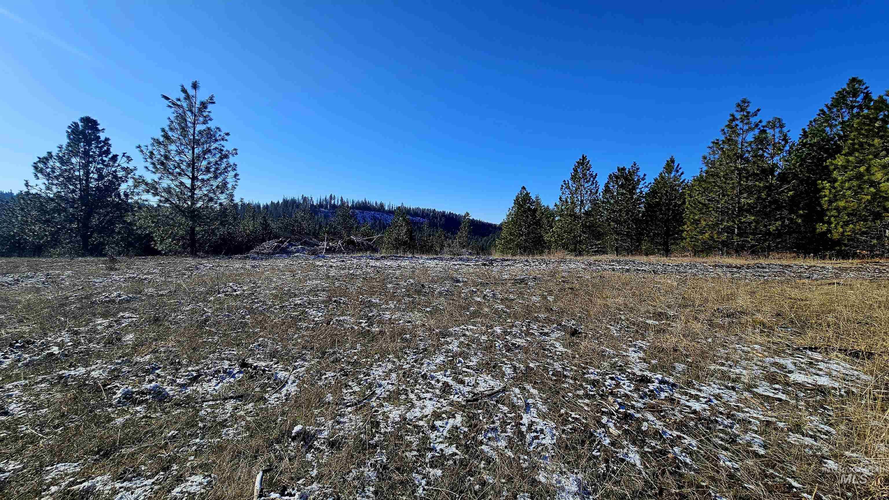 0 See Hawk Ln, Lenore, Idaho 83541, Land For Sale, Price $325,000,MLS 98972794
