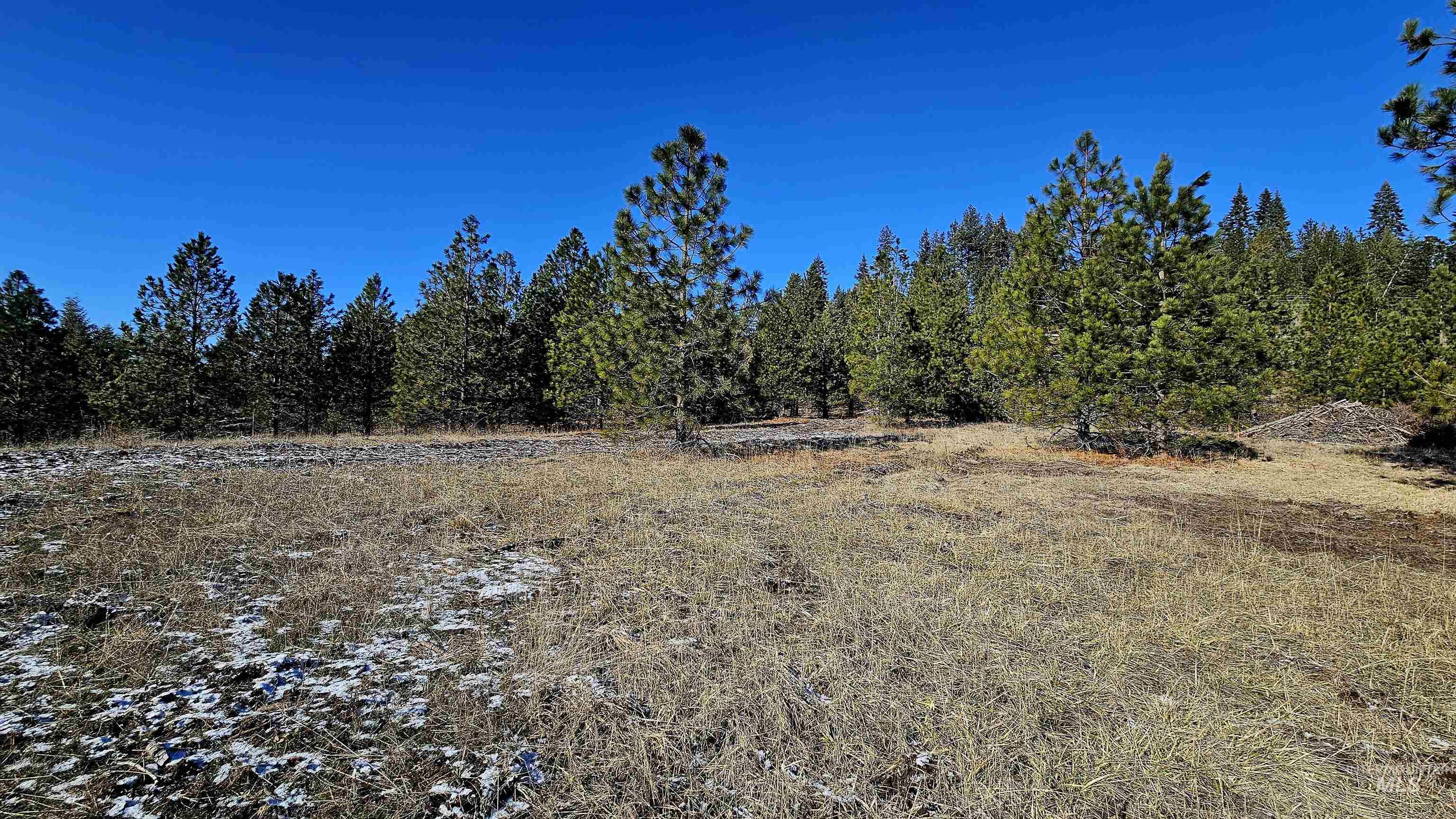 0 See Hawk Ln, Lenore, Idaho 83541, Land For Sale, Price $325,000,MLS 98972794