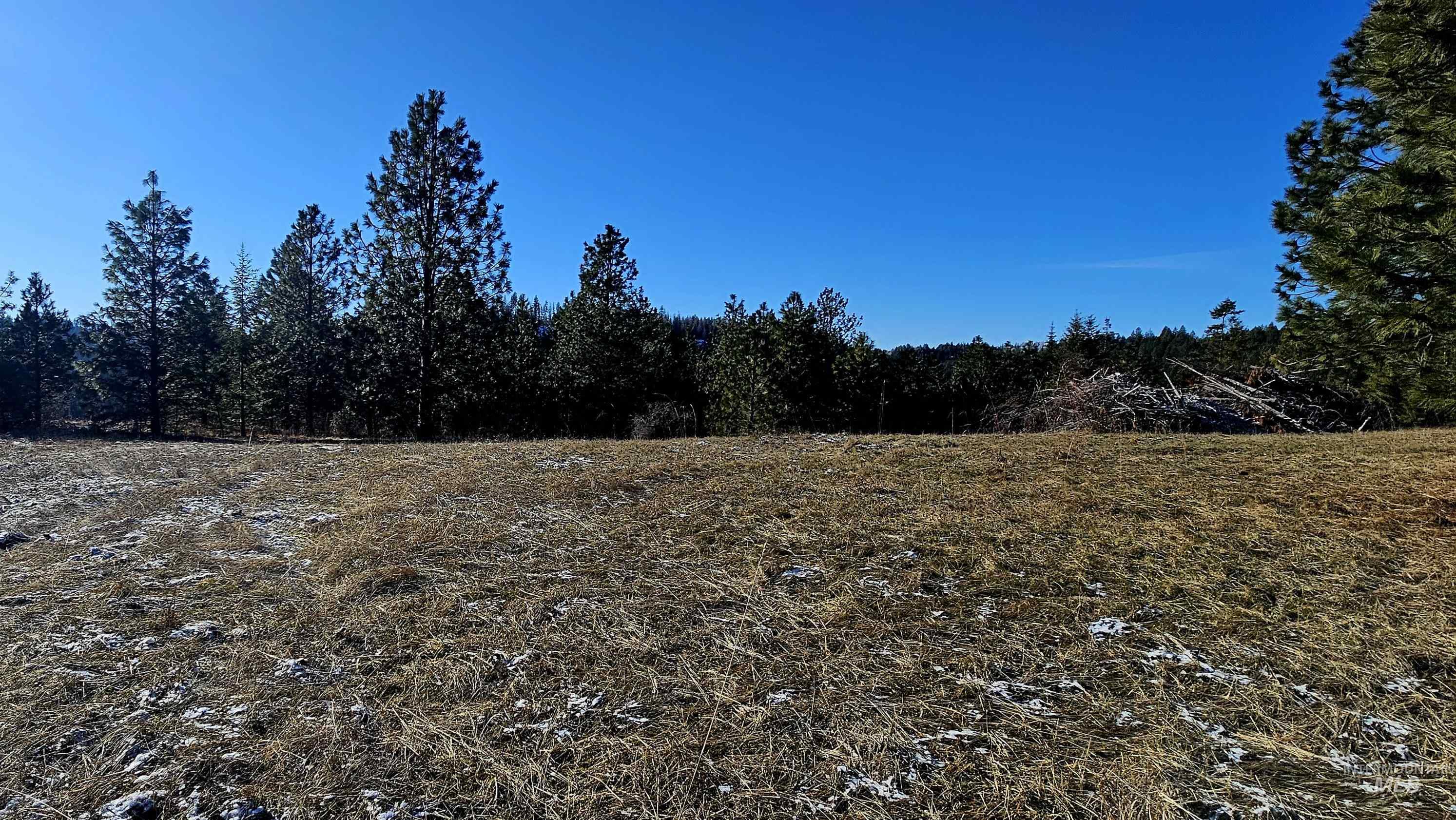 0 See Hawk Ln, Lenore, Idaho 83541, Land For Sale, Price $325,000,MLS 98972794