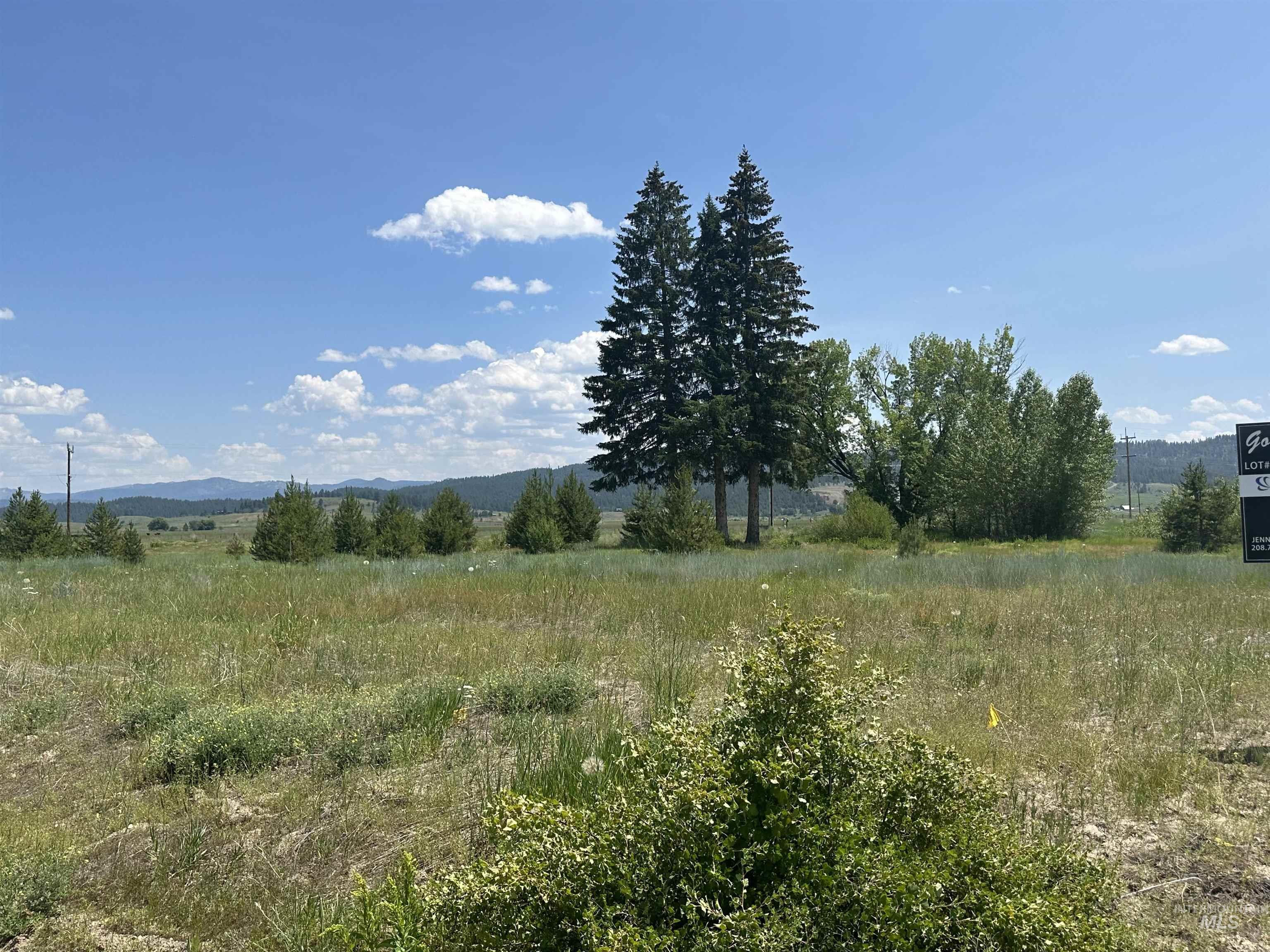 13 Bay View Dr, Donnelly, Idaho 83615, 4 Bedrooms, 3 Bathrooms, Residential For Sale, Price $1,599,999,MLS 98972847