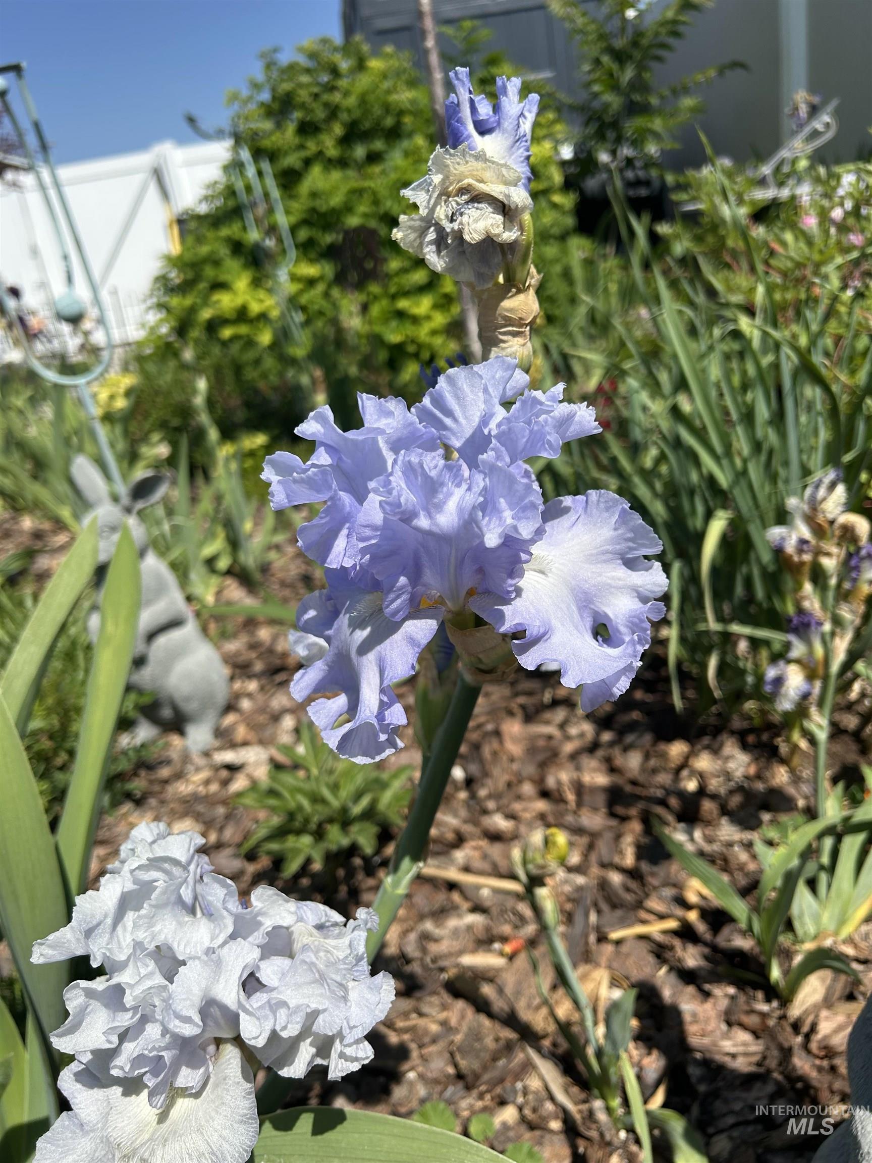 764 Heidi Terrace, Kimberly, Idaho 83341, 4 Bedrooms, 2 Bathrooms, Residential For Sale, Price $785,000,MLS 98972944