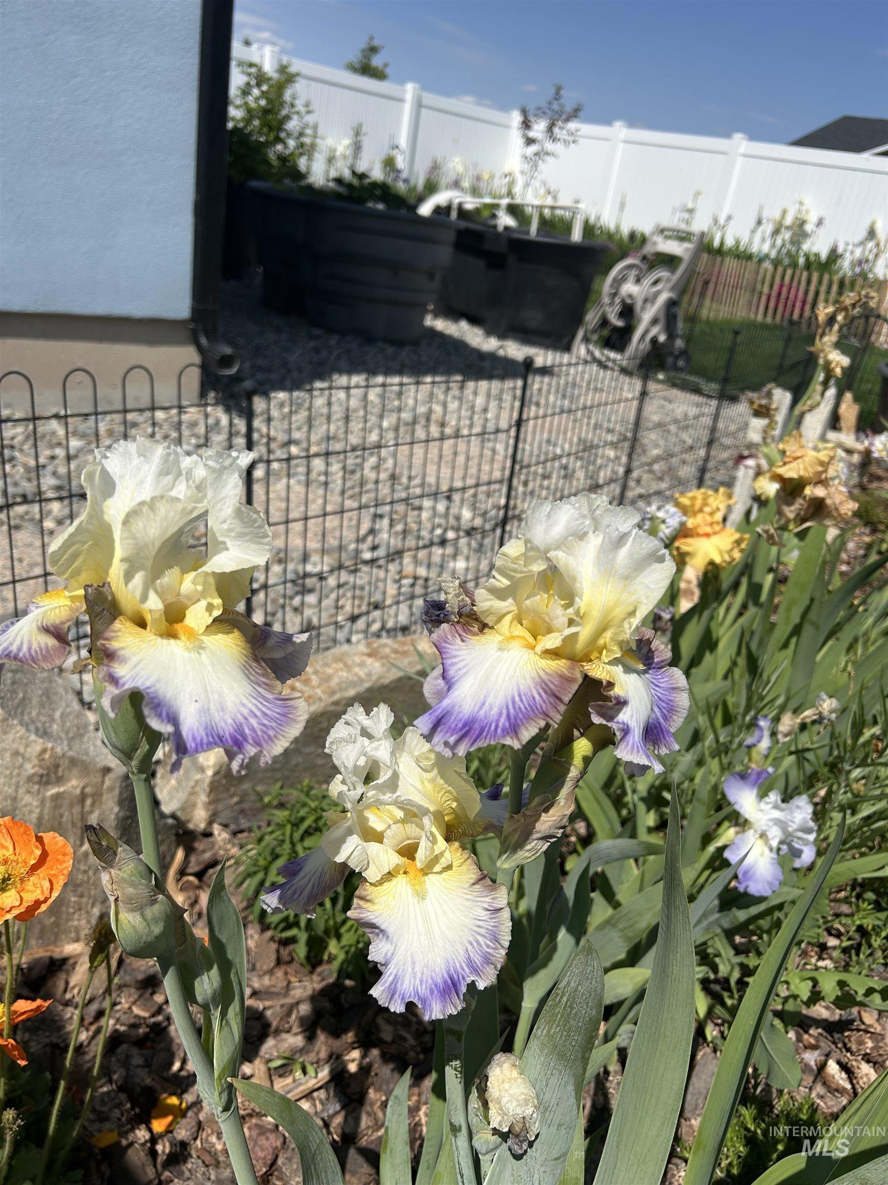 764 Heidi Terrace, Kimberly, Idaho 83341, 4 Bedrooms, 2 Bathrooms, Residential For Sale, Price $785,000,MLS 98972944