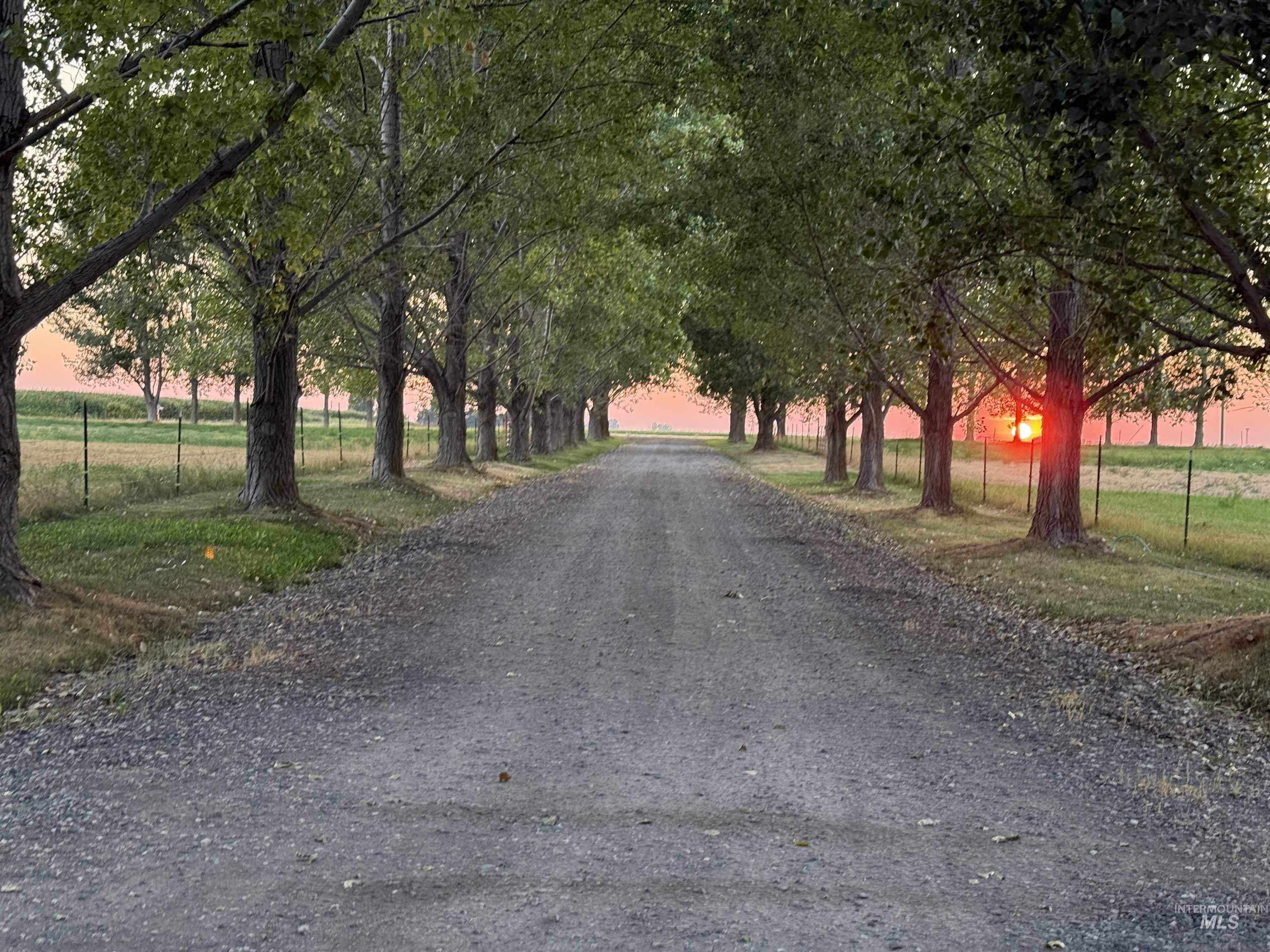 3652 Cedar Draw Lane, Filer, Idaho 83328, 5 Bedrooms, 3.5 Bathrooms, Residential For Sale, Price $1,199,000,MLS 98973034