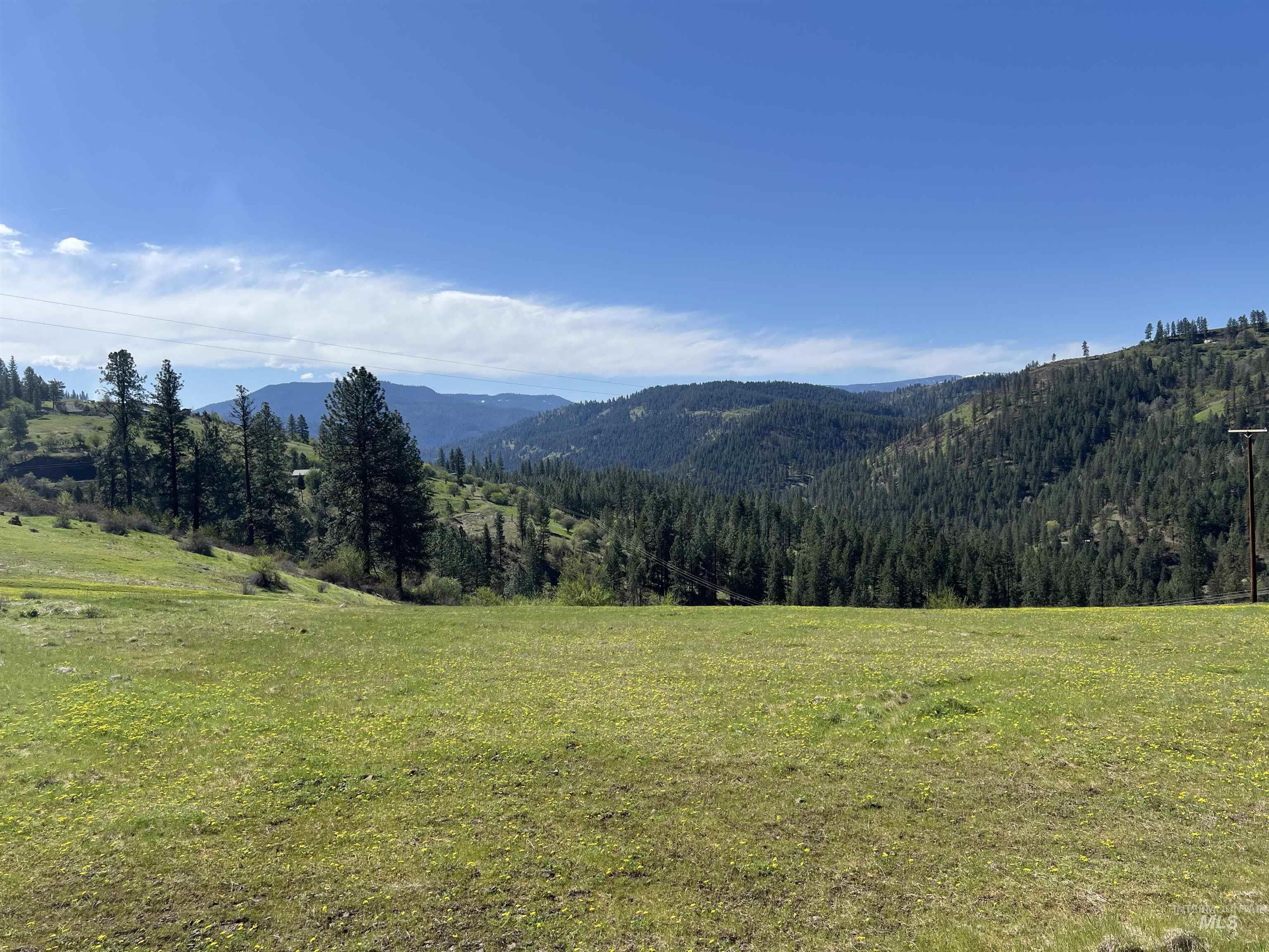 113 Sweetwater Dr., Stites, Idaho 83552, 3 Bedrooms, 2 Bathrooms, Residential For Sale, Price $499,000,MLS 98973044