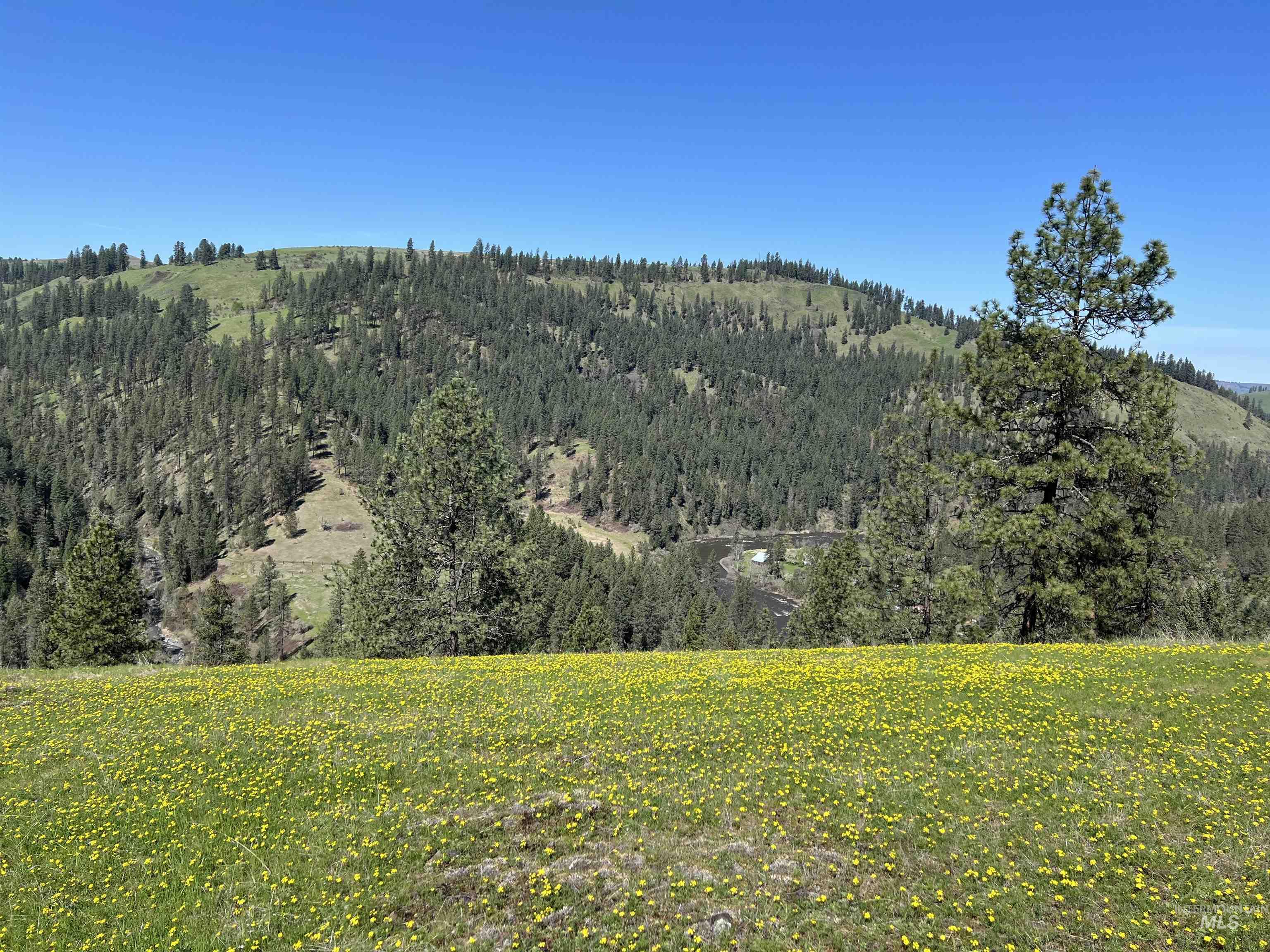 113 Sweetwater Dr., Stites, Idaho 83552, 3 Bedrooms, 2 Bathrooms, Residential For Sale, Price $499,000,MLS 98973044