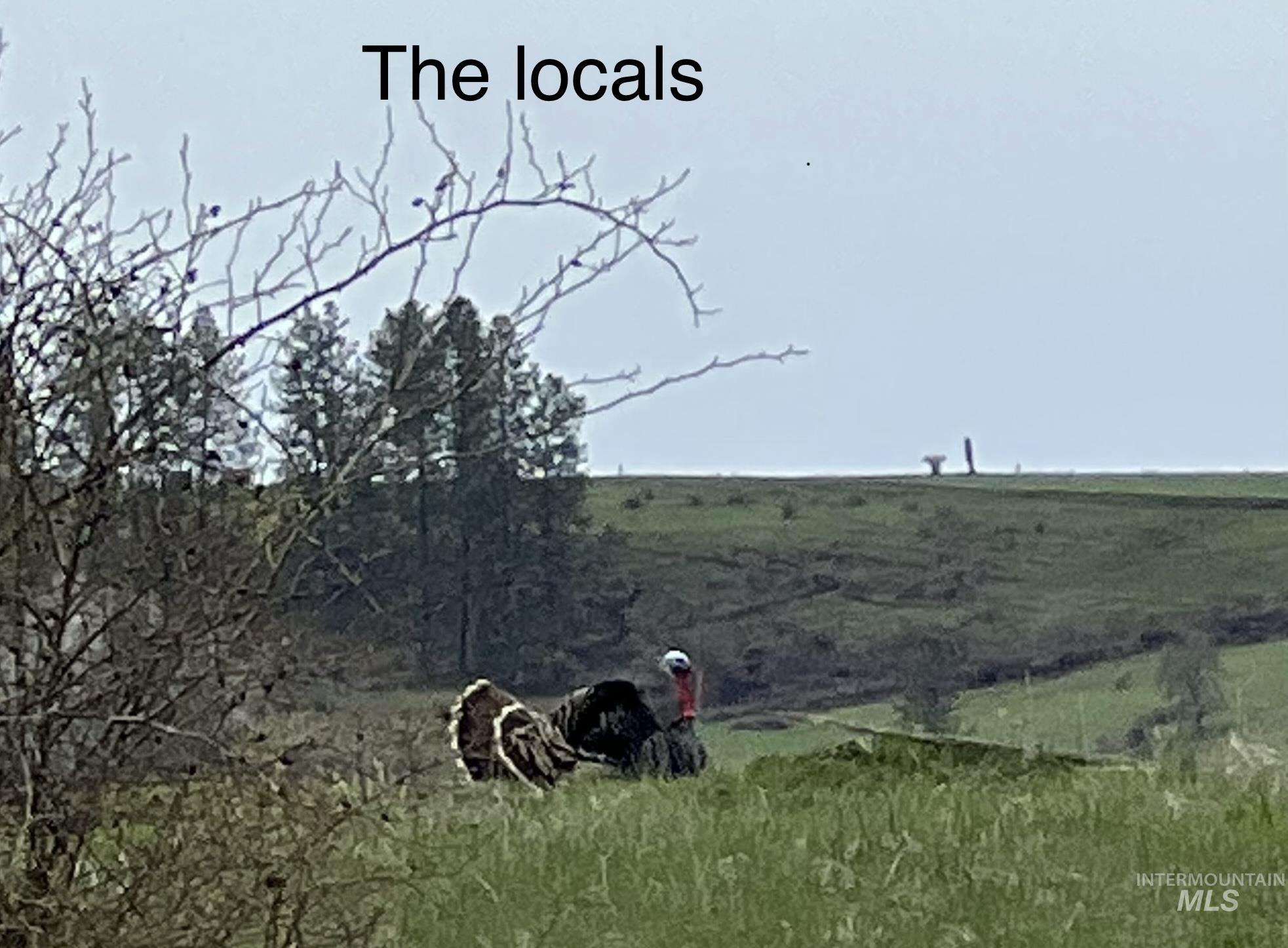 113 Sweetwater Dr., Stites, Idaho 83552, 3 Bedrooms, 2 Bathrooms, Residential For Sale, Price $515,000,MLS 98973044