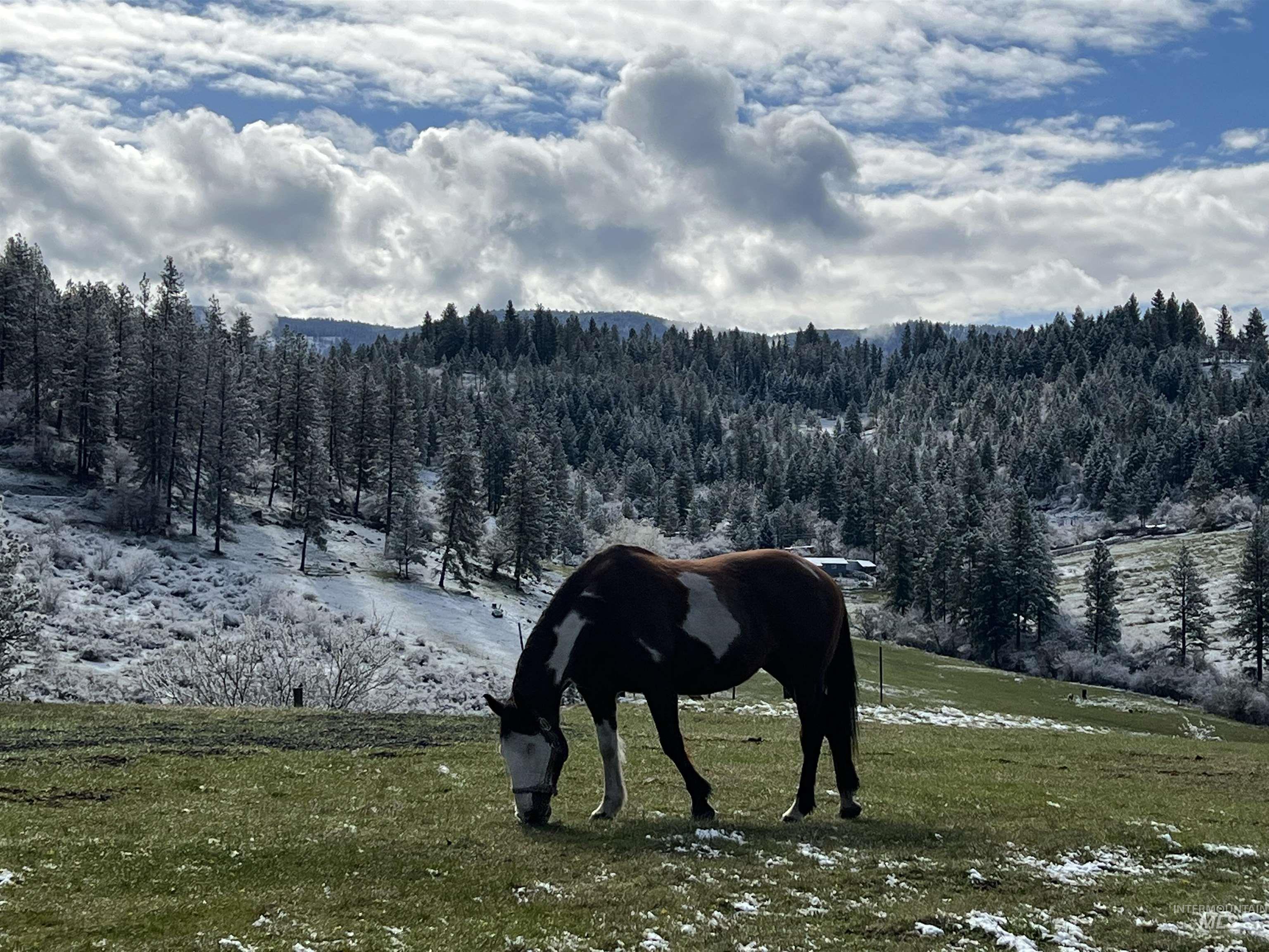113 Sweetwater Dr., Stites, Idaho 83552, 3 Bedrooms, 2 Bathrooms, Residential For Sale, Price $515,000,MLS 98973044