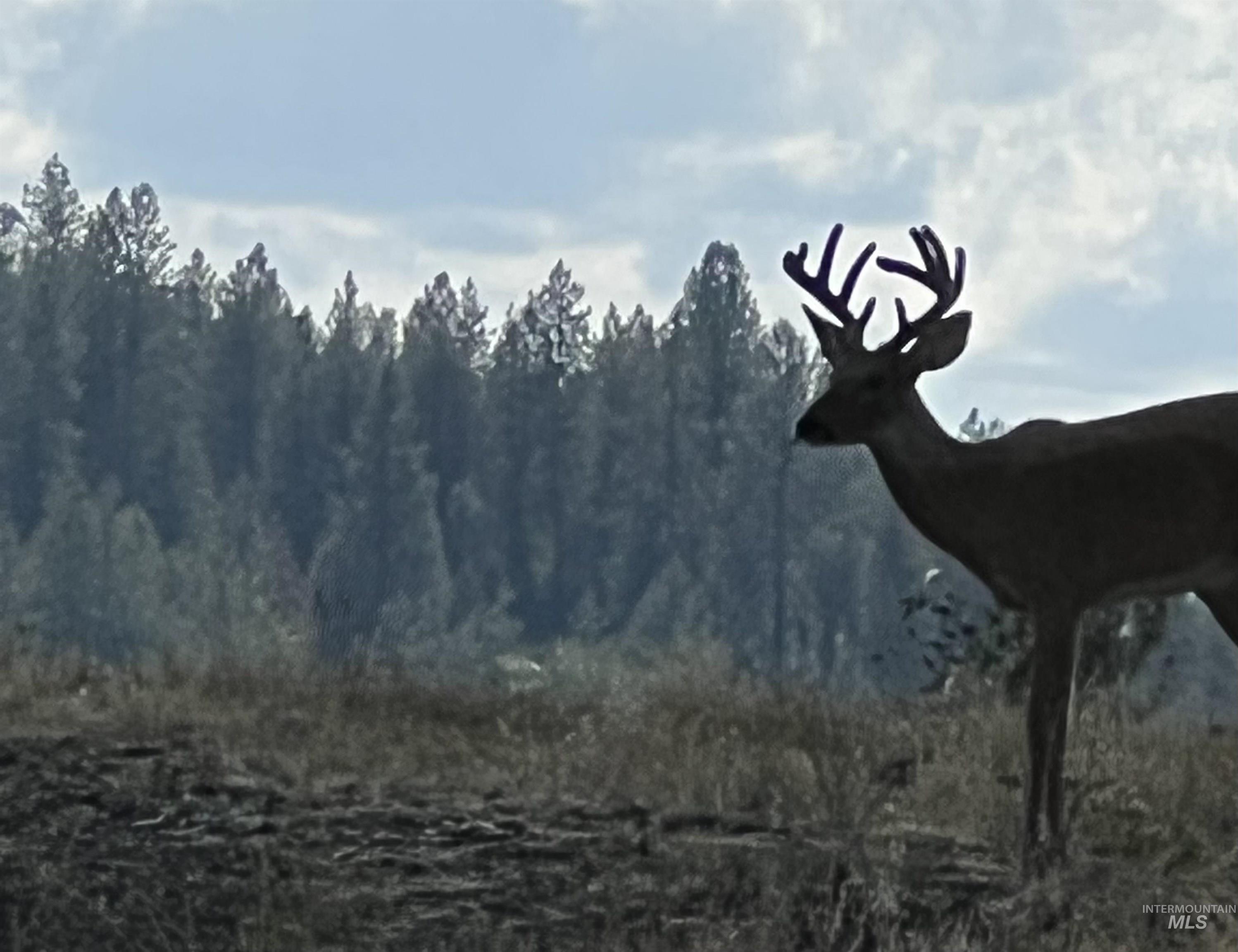 113 Sweetwater Dr., Stites, Idaho 83552, 3 Bedrooms, 2 Bathrooms, Residential For Sale, Price $515,000,MLS 98973044