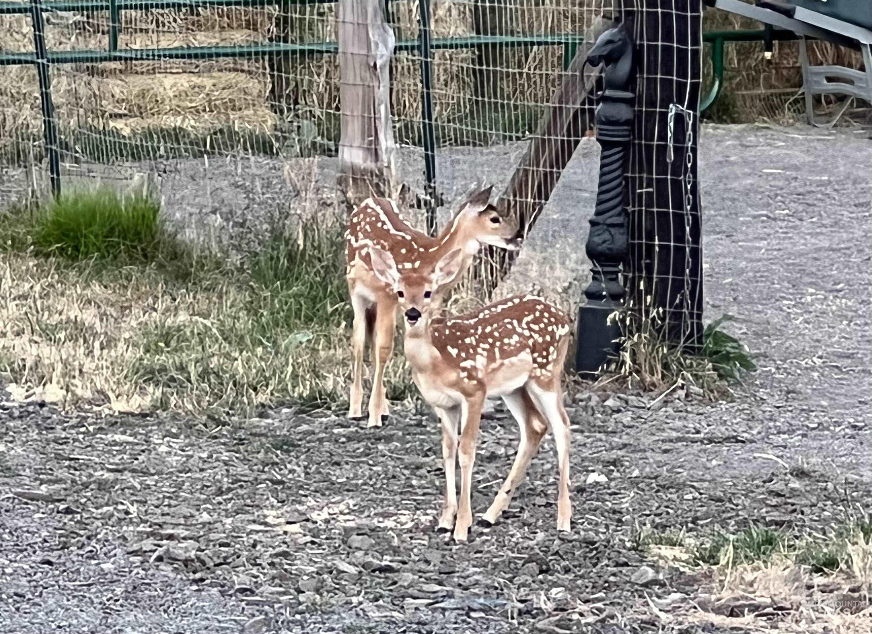 113 Sweetwater Dr., Stites, Idaho 83552, 3 Bedrooms, 2 Bathrooms, Residential For Sale, Price $515,000,MLS 98973044