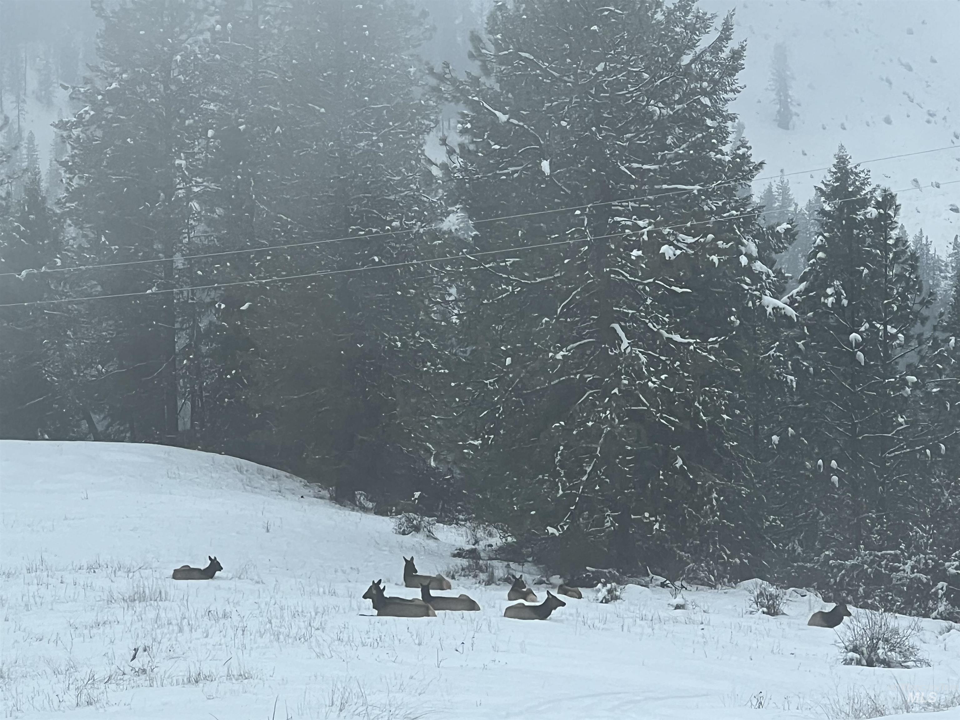 113 Sweetwater Dr., Stites, Idaho 83552, 3 Bedrooms, 2 Bathrooms, Residential For Sale, Price $515,000,MLS 98973044