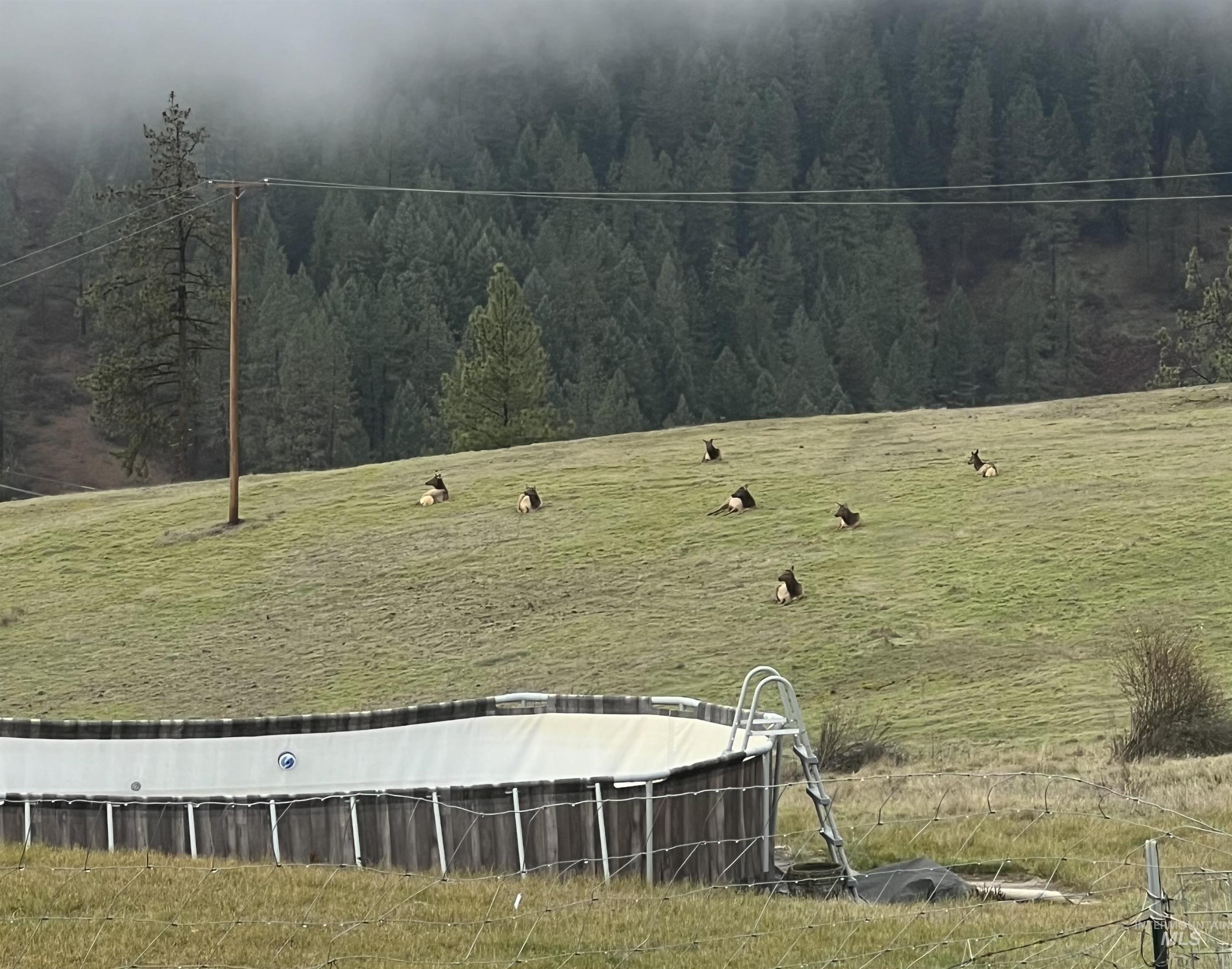 113 Sweetwater Dr., Stites, Idaho 83552, 3 Bedrooms, 2 Bathrooms, Residential For Sale, Price $515,000,MLS 98973044