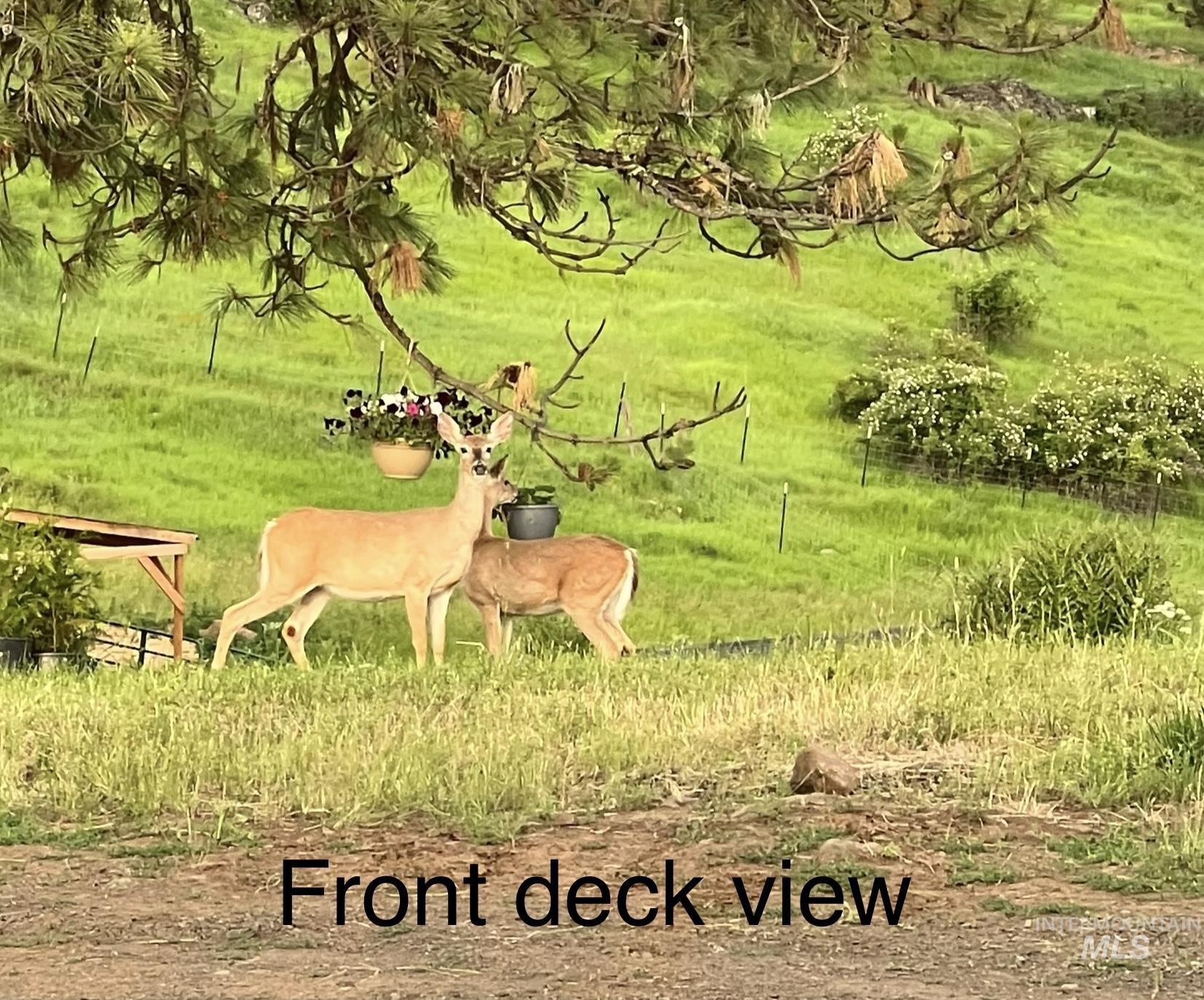 113 Sweetwater Dr., Stites, Idaho 83552, 3 Bedrooms, 2 Bathrooms, Residential For Sale, Price $515,000,MLS 98973044