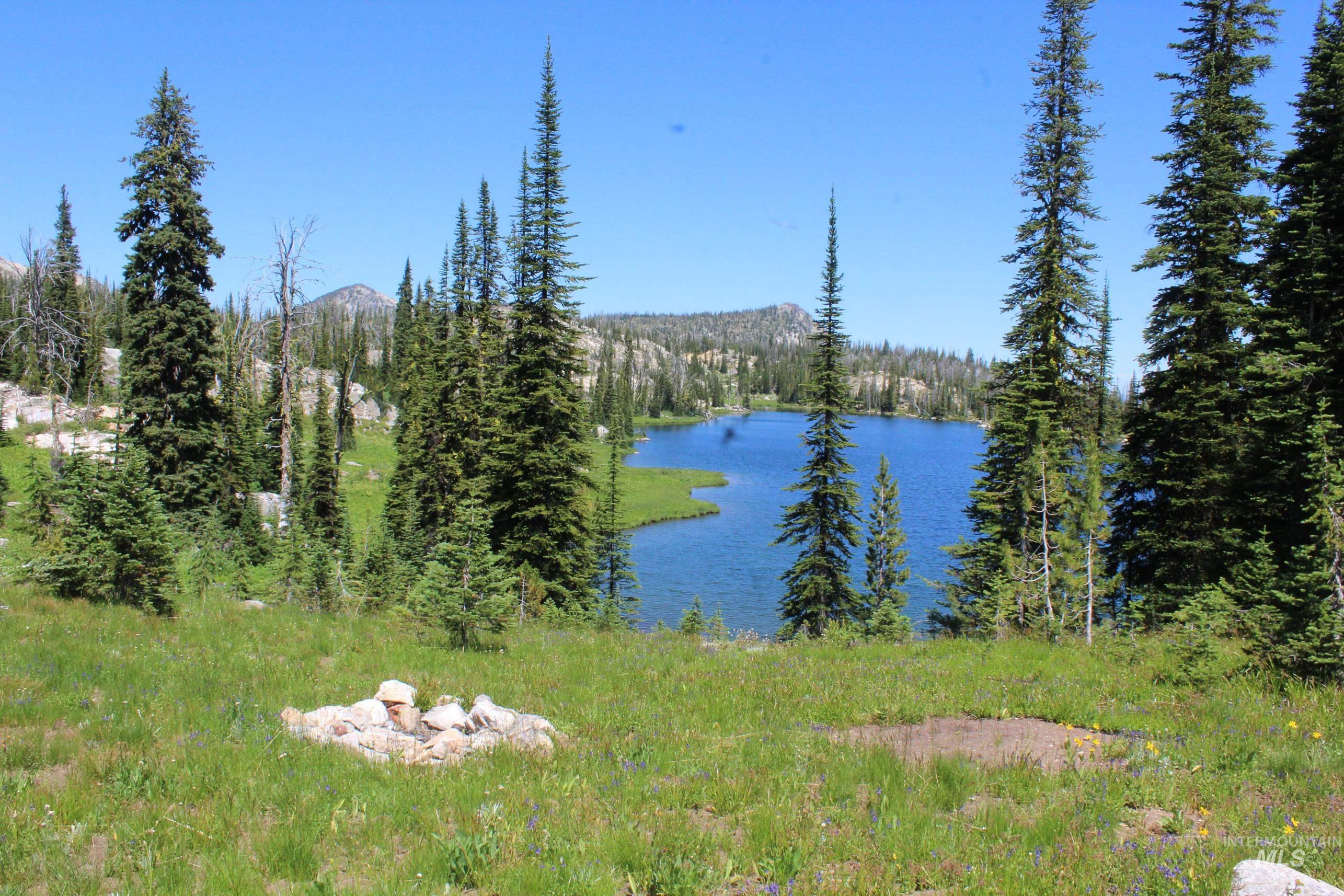 TBD Buffalo Hump, Dixie, Idaho 83525, 3 Bedrooms, 1 Bathroom, Residential For Sale, Price $3,250,000,MLS 98973094