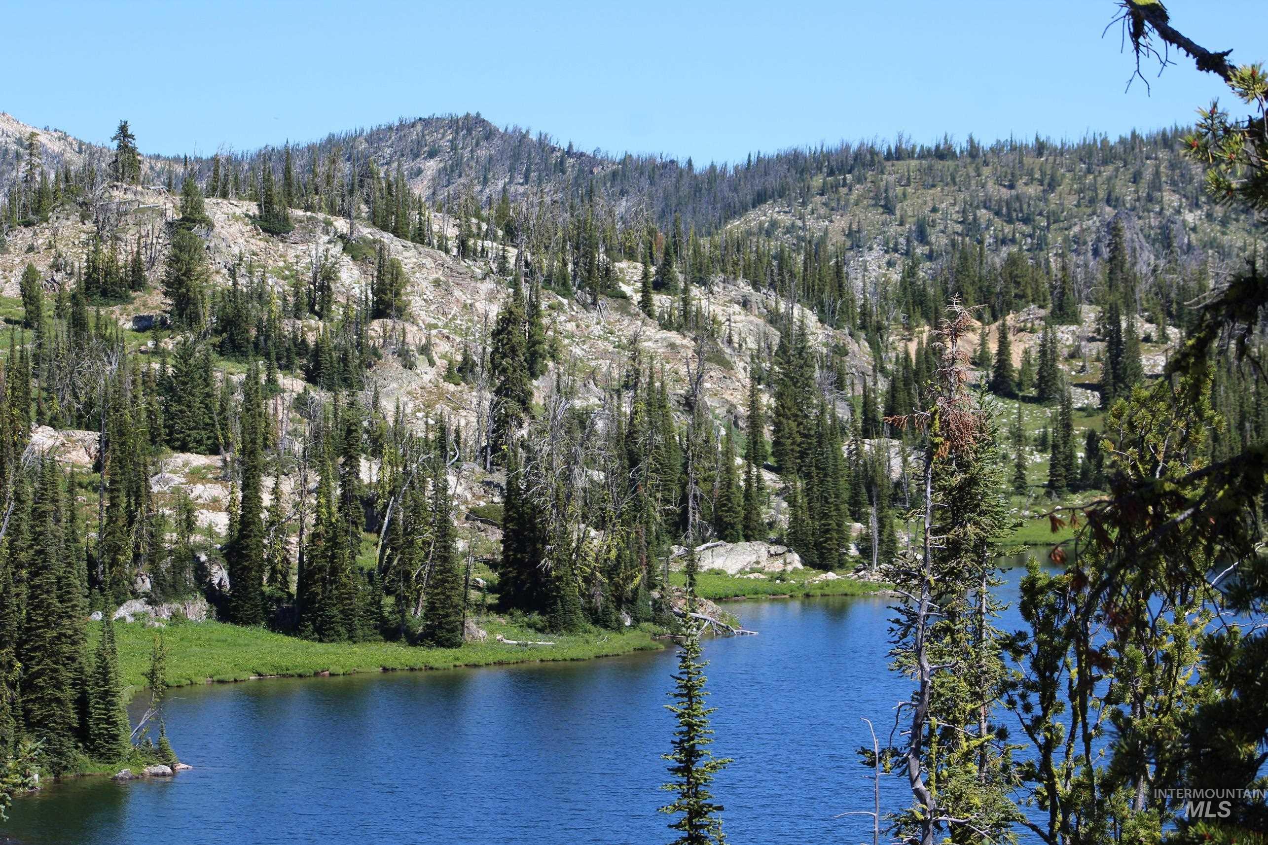 TBD Buffalo Hump, Dixie, Idaho 83525, 3 Bedrooms, 1 Bathroom, Residential For Sale, Price $3,250,000,MLS 98973094