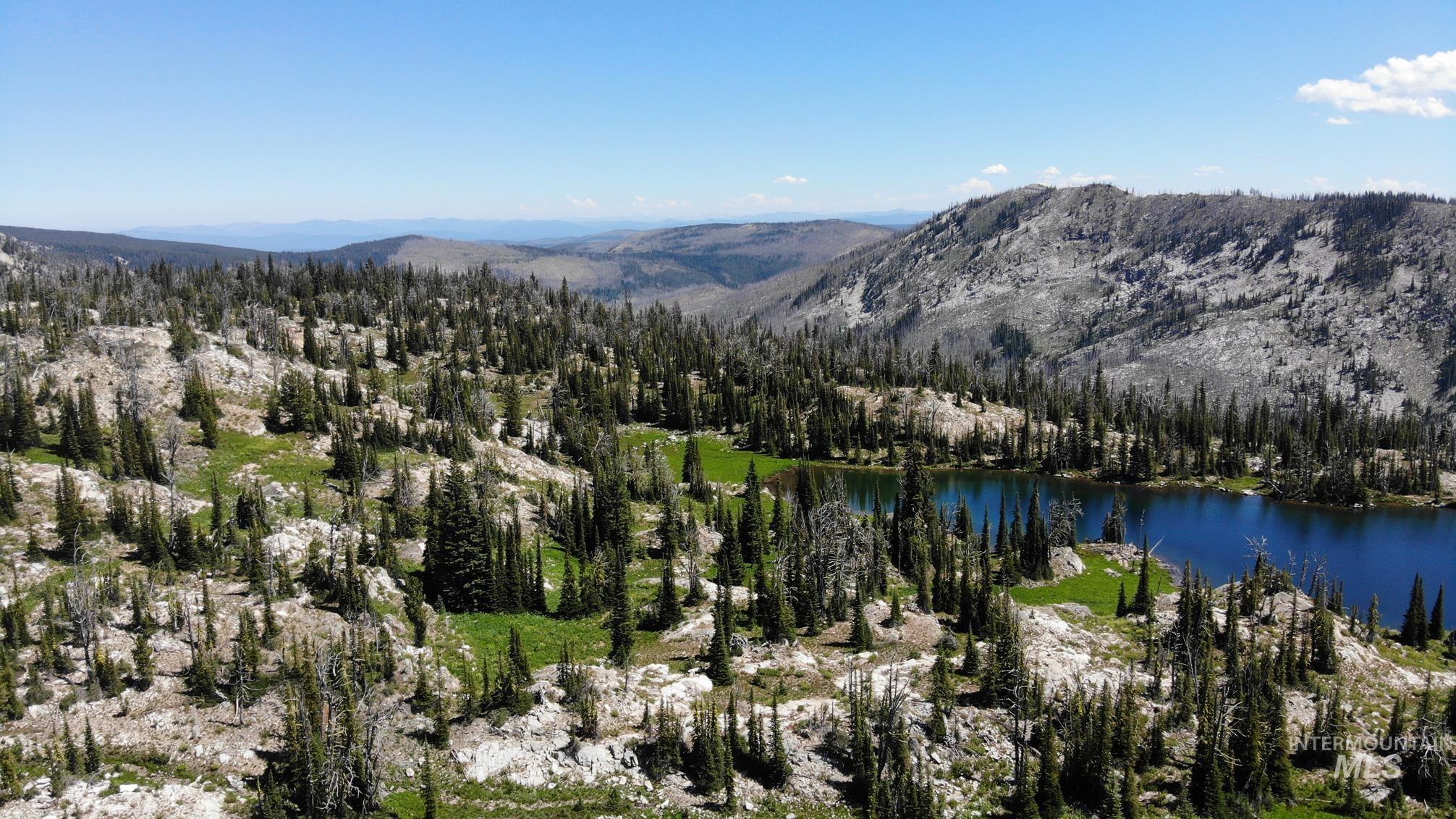 TBD Buffalo Hump, Dixie, Idaho 83525, 3 Bedrooms, 1 Bathroom, Residential For Sale, Price $3,250,000,MLS 98973094