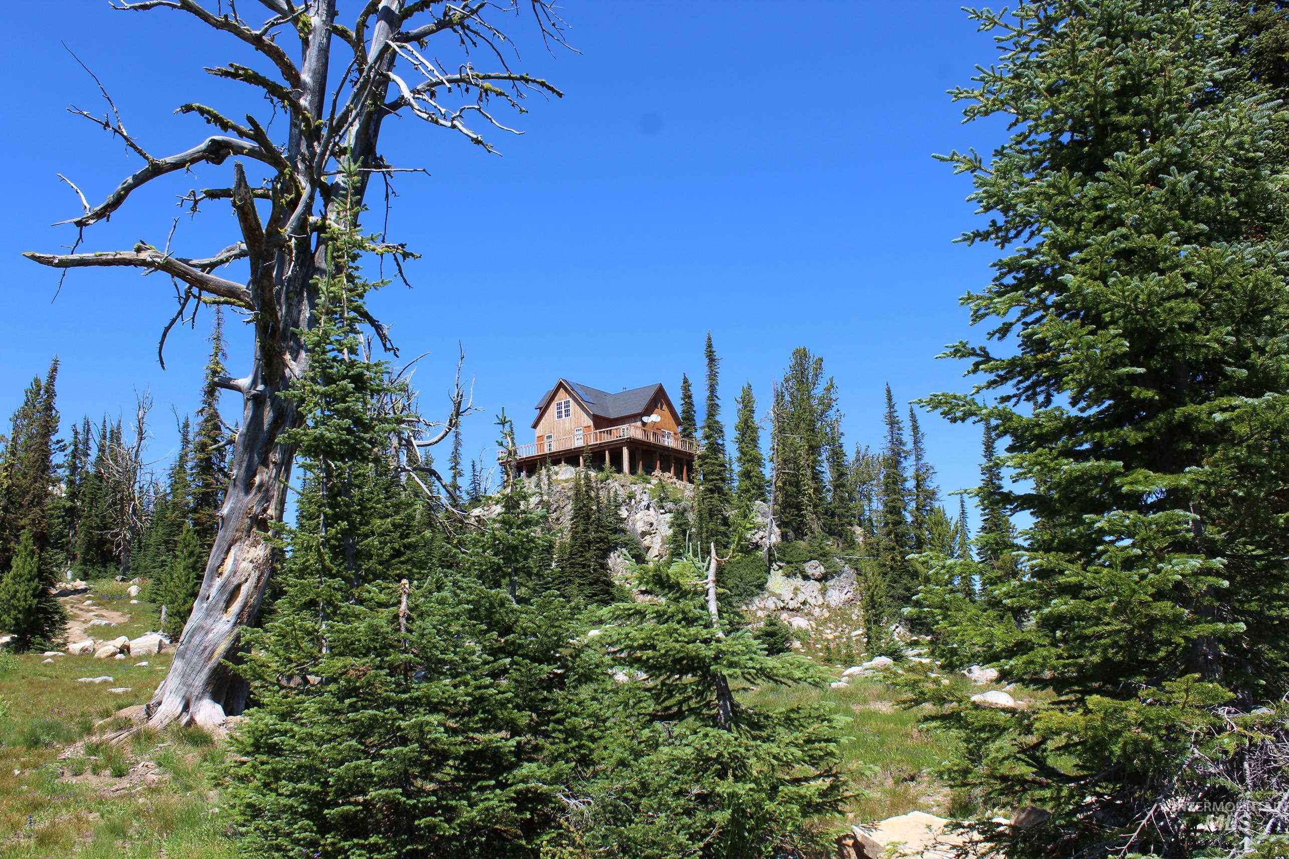 TBD Buffalo Hump, Dixie, Idaho 83525, 3 Bedrooms, 1 Bathroom, Residential For Sale, Price $3,250,000,MLS 98973094