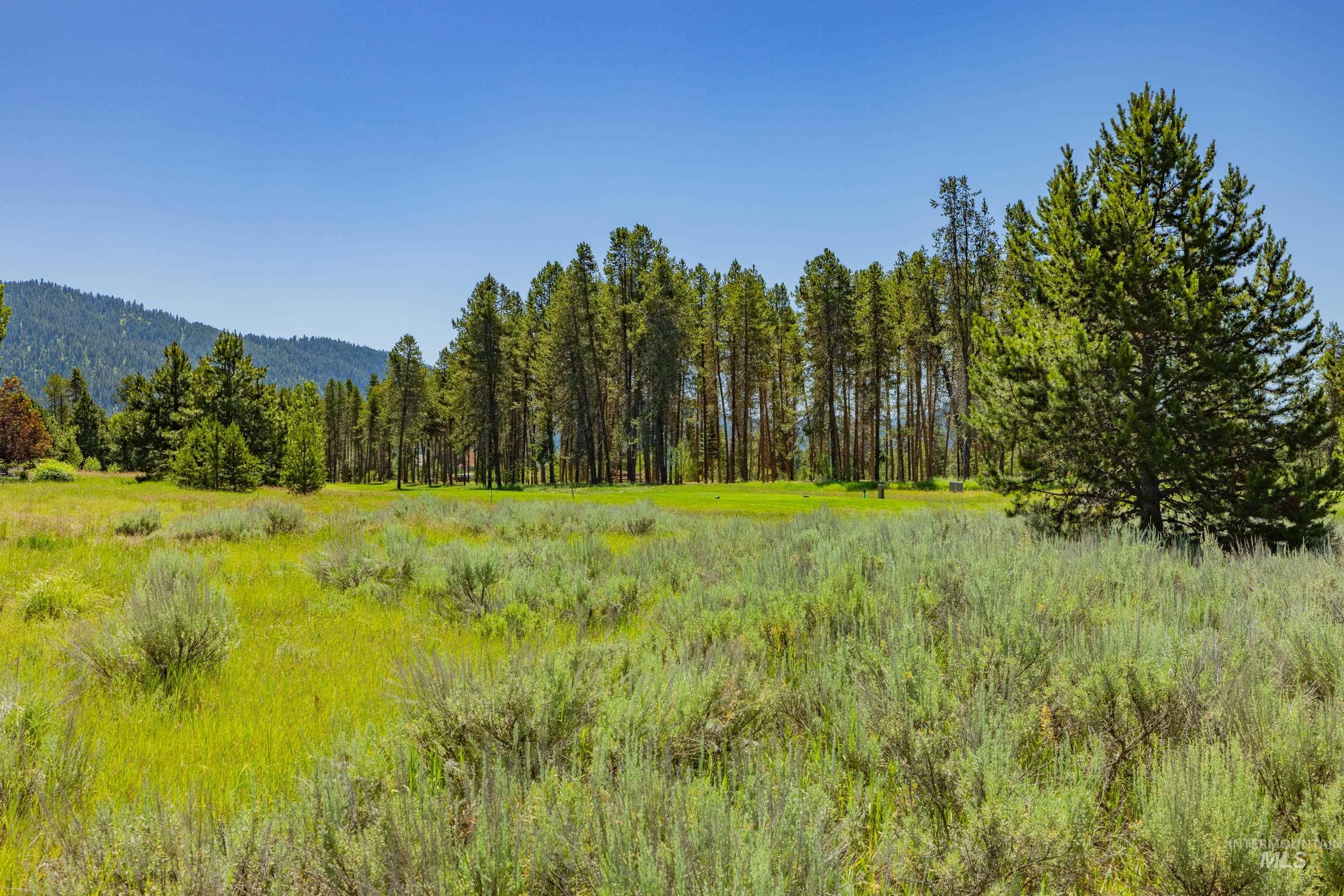 241 West Jug Road, McCall, Idaho 83638, Land For Sale, Price $340,000, 98973109