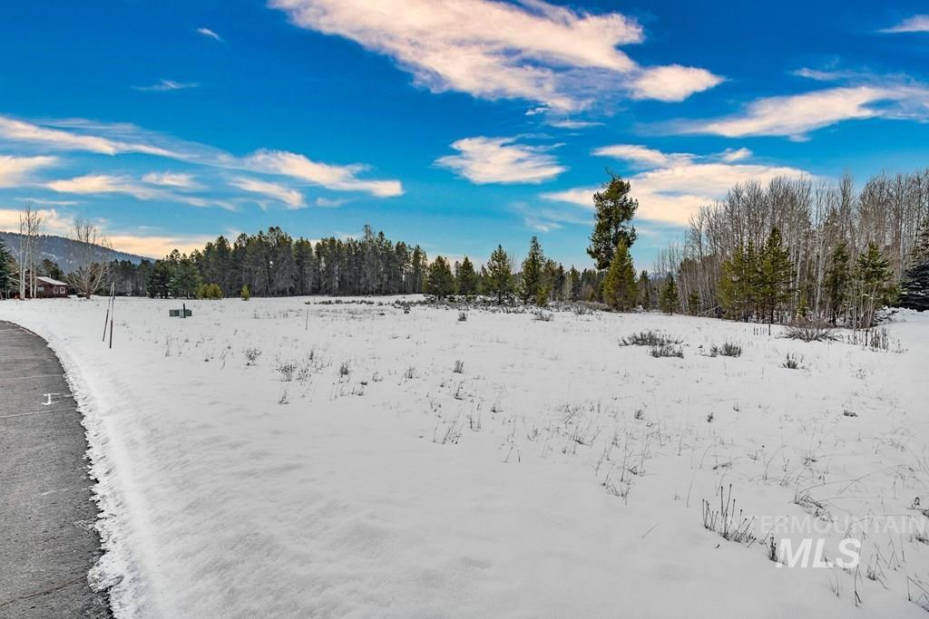 241 West Jug Road, McCall, Idaho 83638, Land For Sale, Price $365,000,MLS 98973109