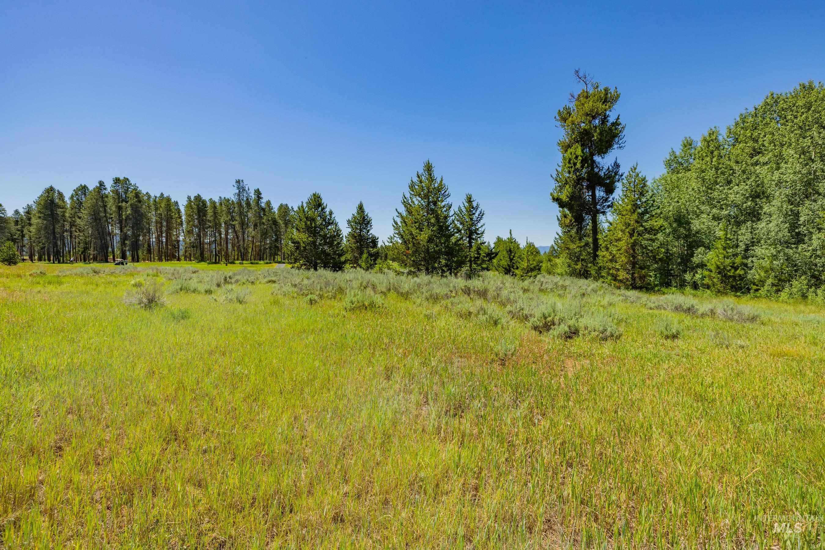 241 West Jug Road, McCall, Idaho 83638, Land For Sale, Price $340,000, 98973109