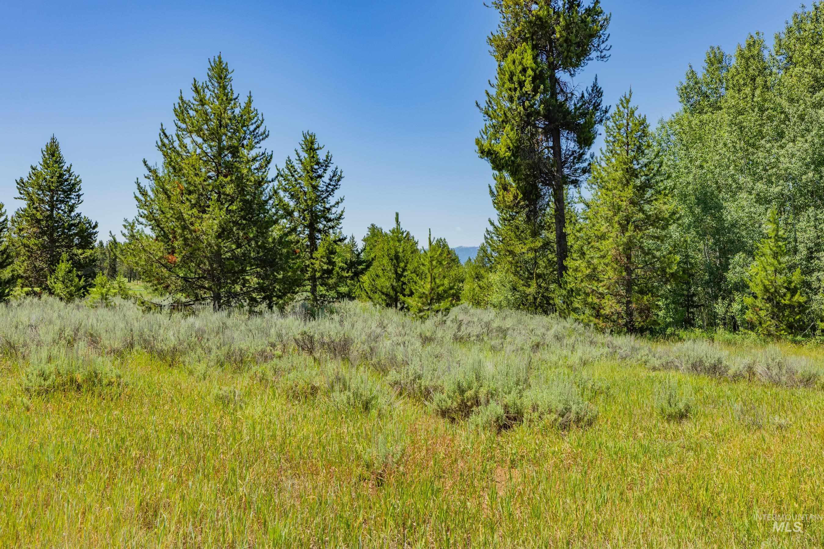 241 West Jug Road, McCall, Idaho 83638, Land For Sale, Price $340,000, 98973109