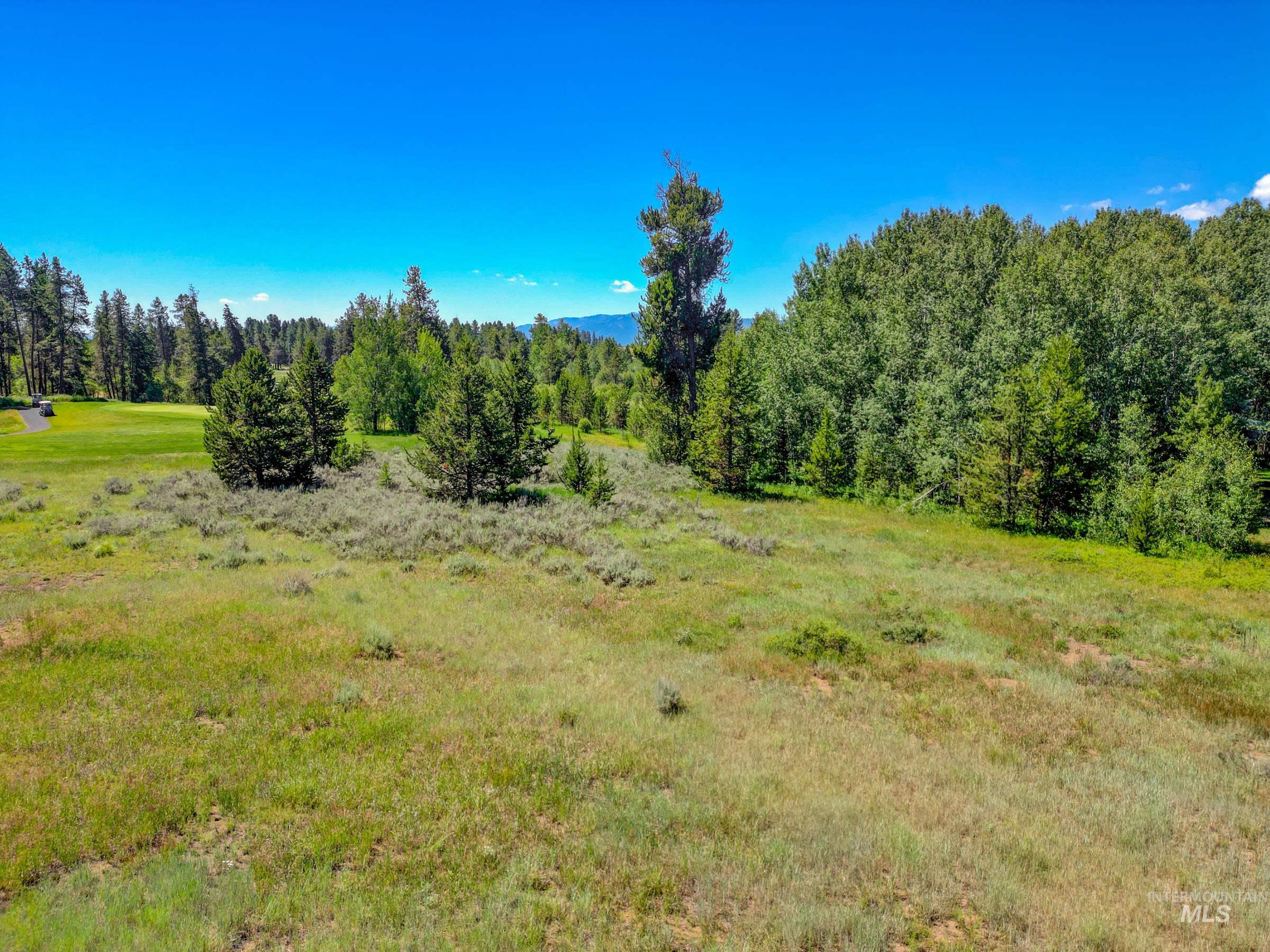 241 West Jug Road, McCall, Idaho 83638, Land For Sale, Price $340,000, 98973109