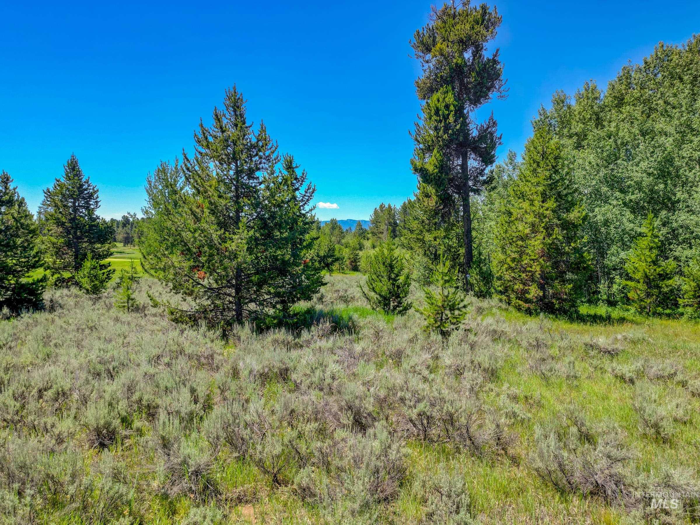 241 West Jug Road, McCall, Idaho 83638, Land For Sale, Price $340,000, 98973109