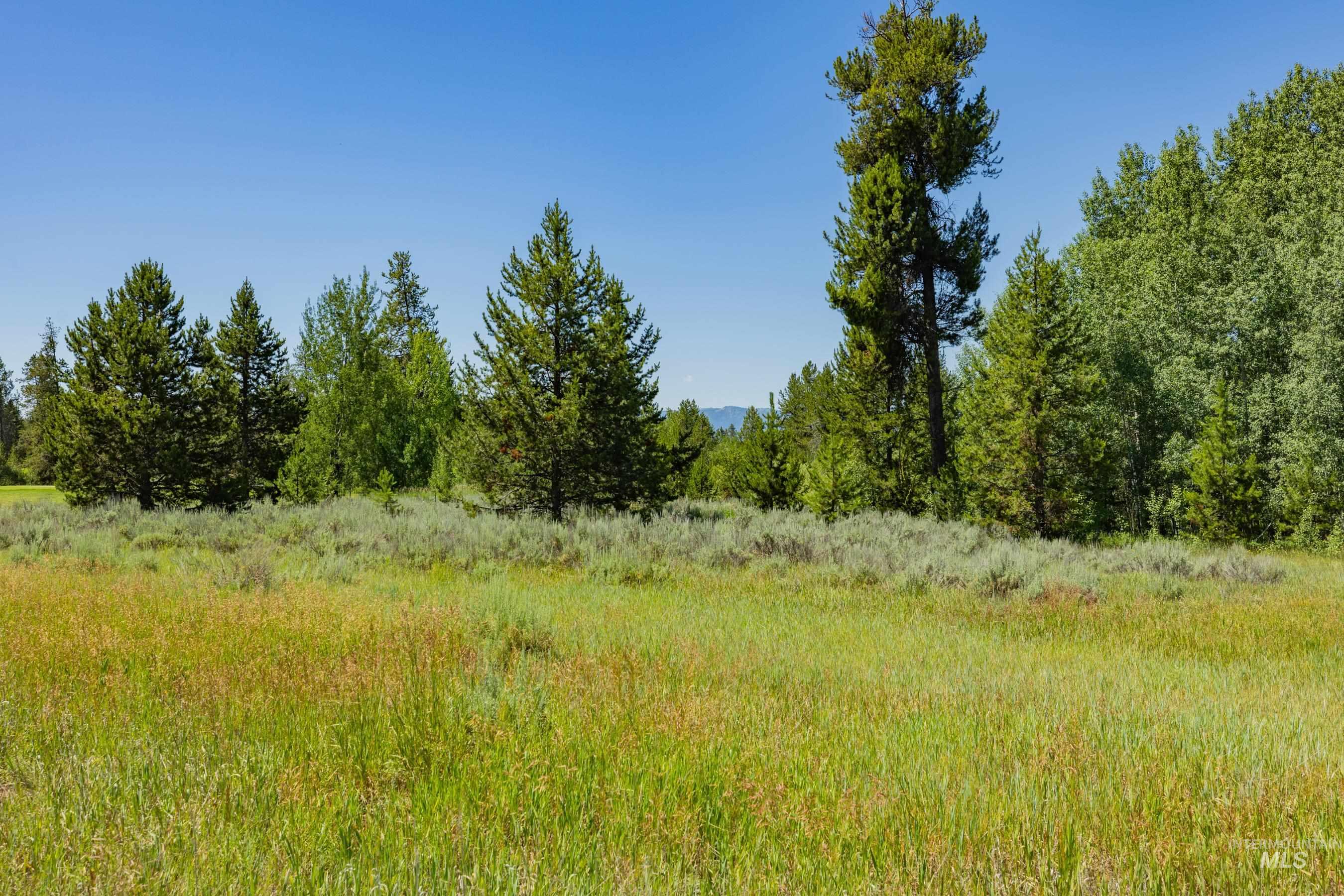 241 West Jug Road, McCall, Idaho 83638, Land For Sale, Price $340,000, 98973109