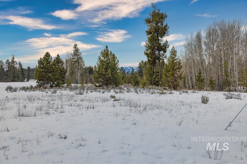 241 West Jug Road, McCall, Idaho 83638, Land For Sale, Price $365,000,MLS 98973109