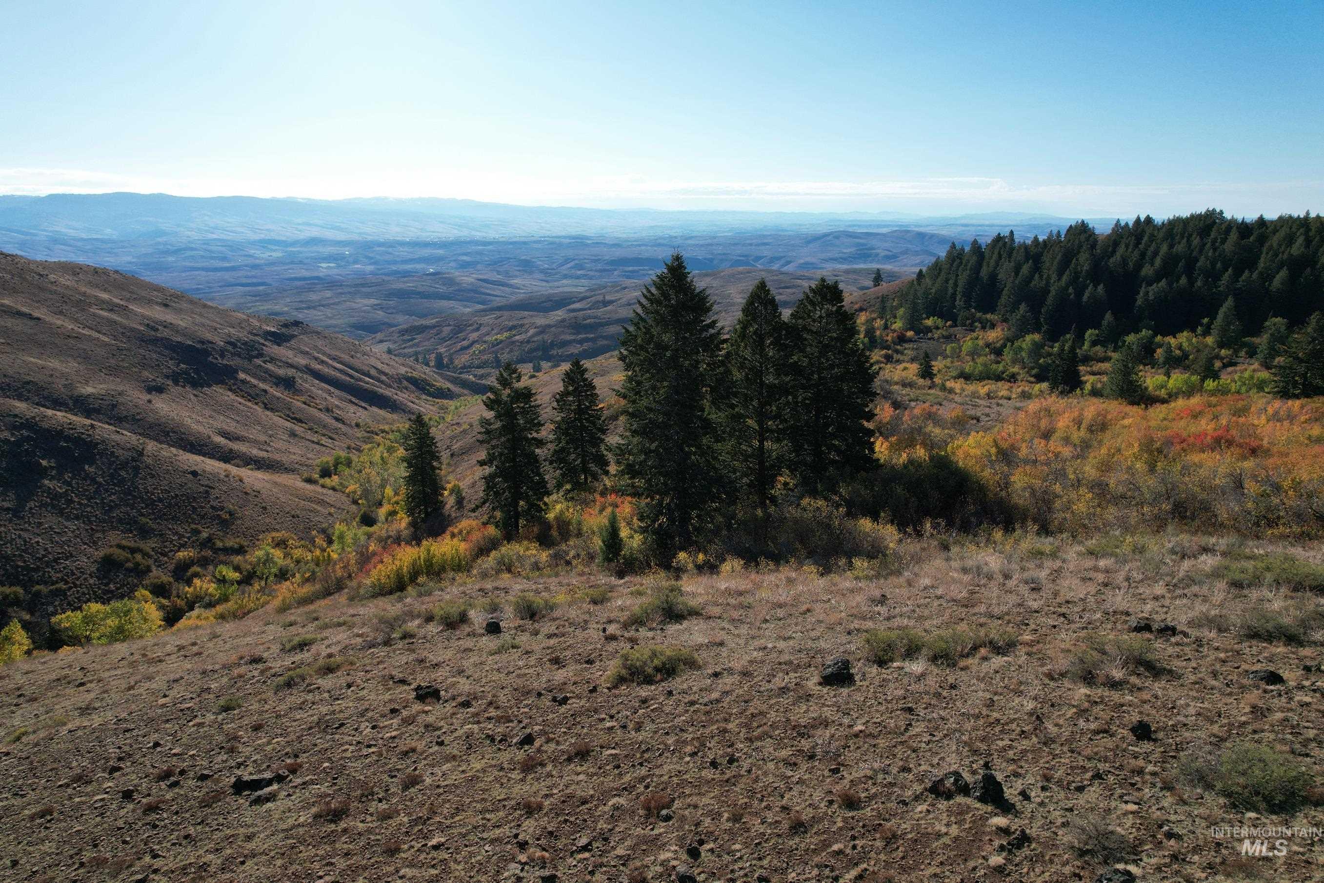 1700 Jackson Creek Road, Council, Idaho 83612, 2 Bedrooms, 2 Bathrooms, Farm & Ranch For Sale, Price $1,850,000,MLS 98973113