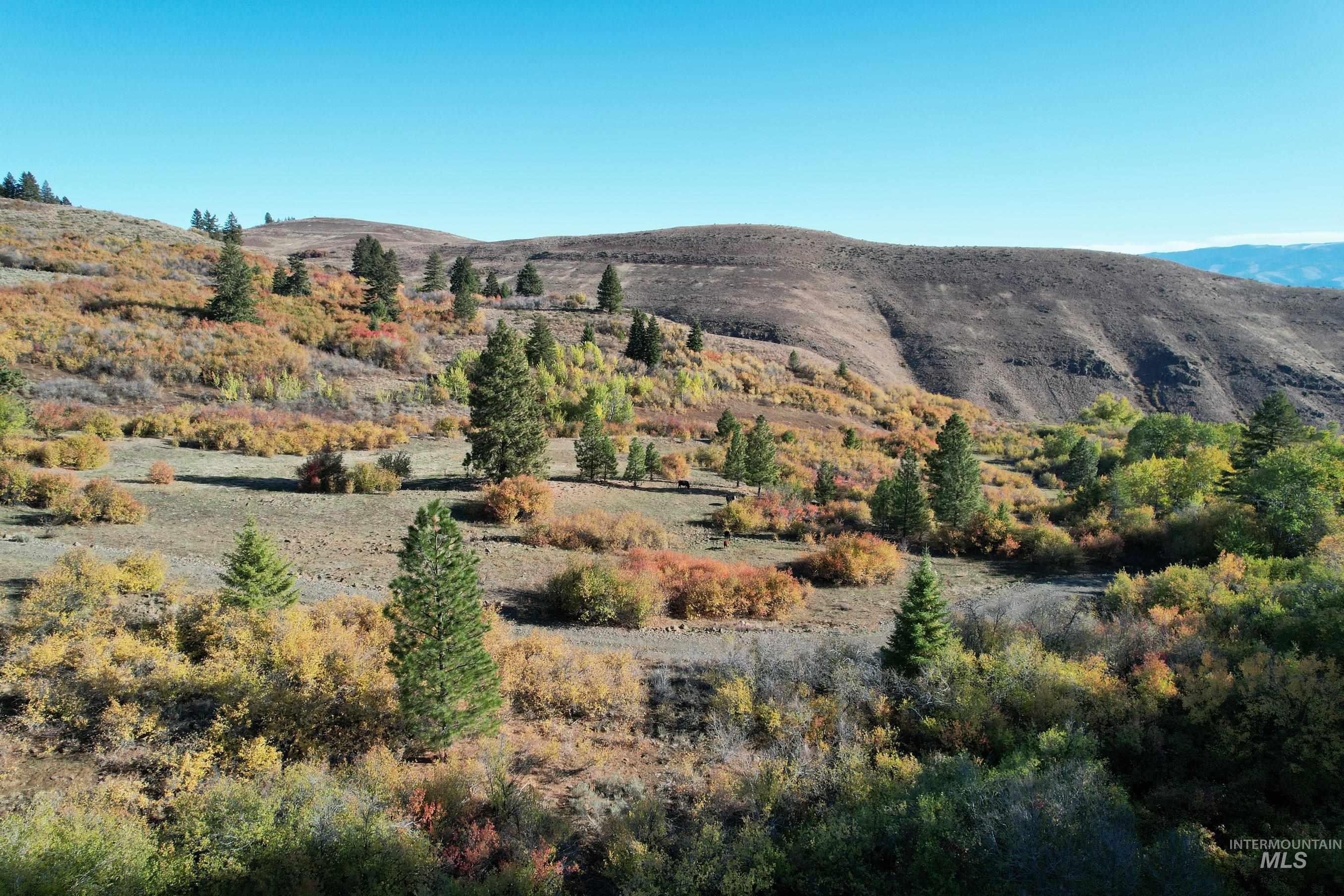 1700 Jackson Creek Road, Council, Idaho 83612, 2 Bedrooms, 2 Bathrooms, Farm & Ranch For Sale, Price $1,850,000,MLS 98973113